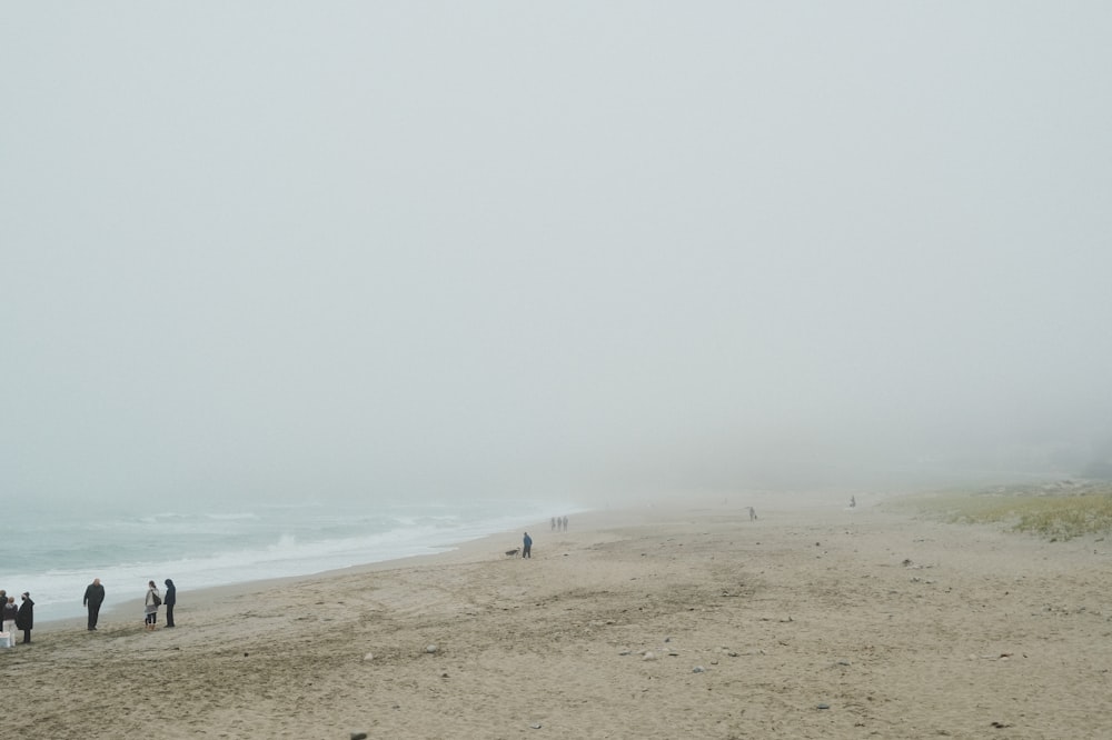 a group of people standing on top of a sandy beach