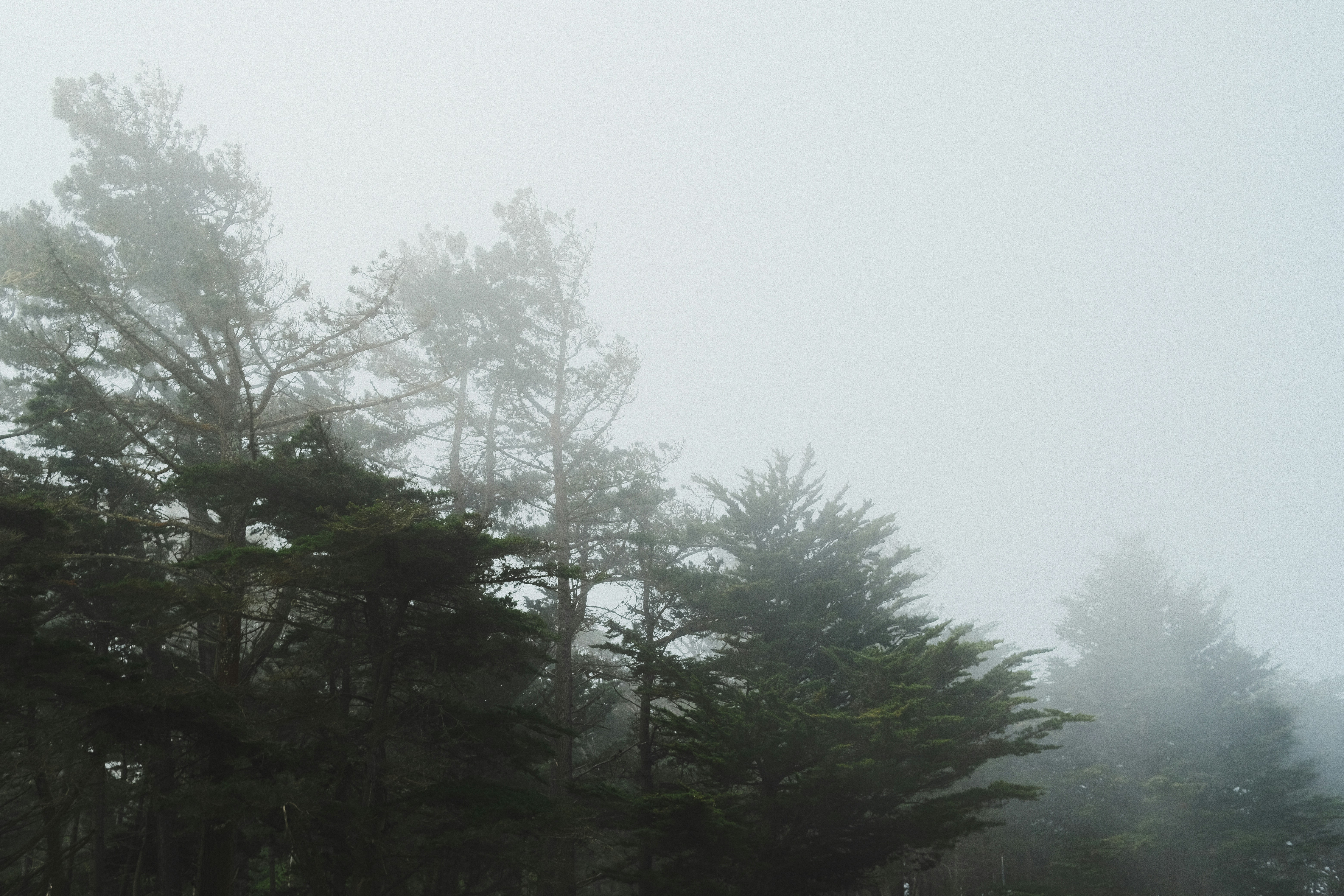Alone in the Best Way: How Big Sur's Wilderness Turns Solitude Into a Cure for Modern Loneliness