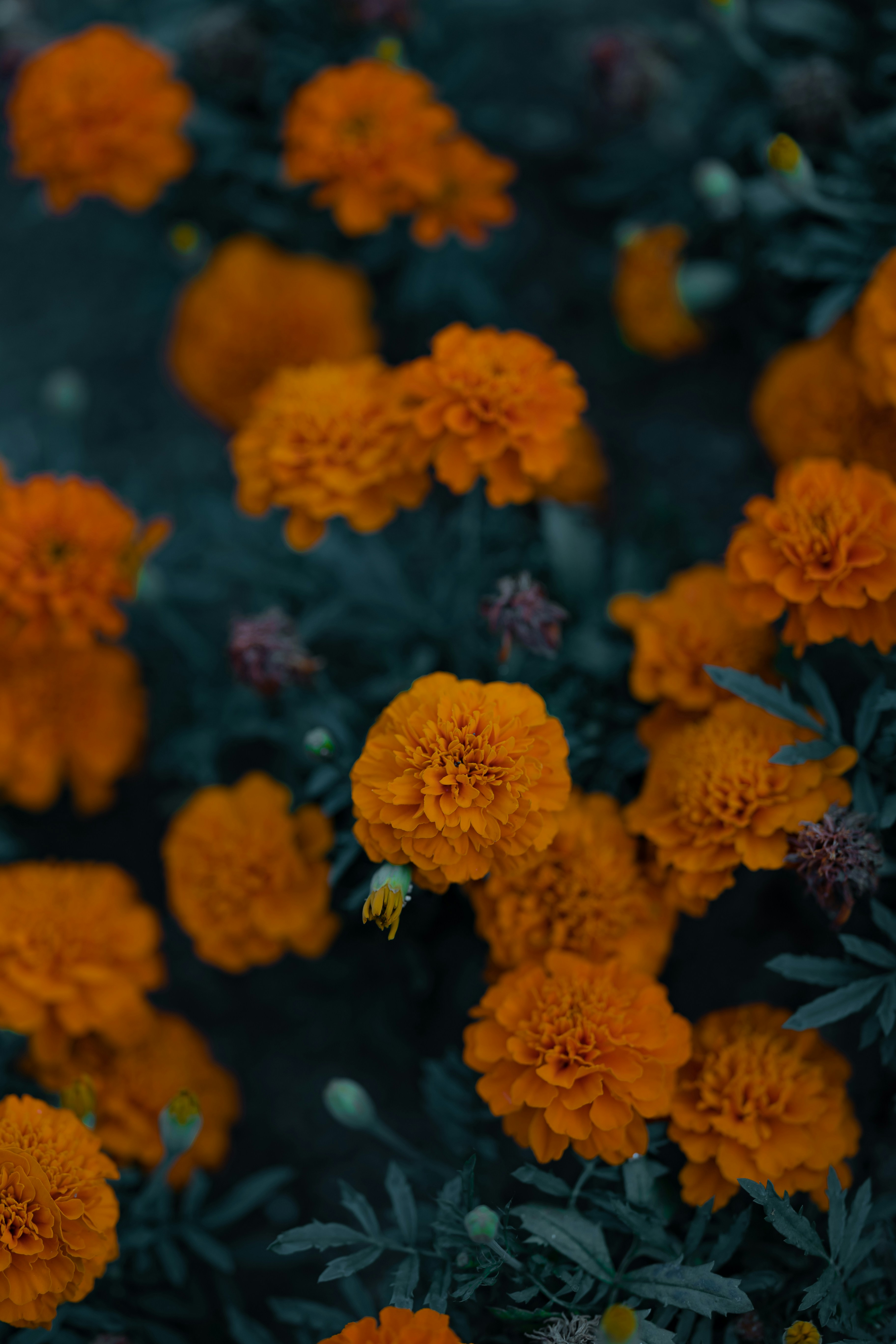 Photo by mohamadalnaimi