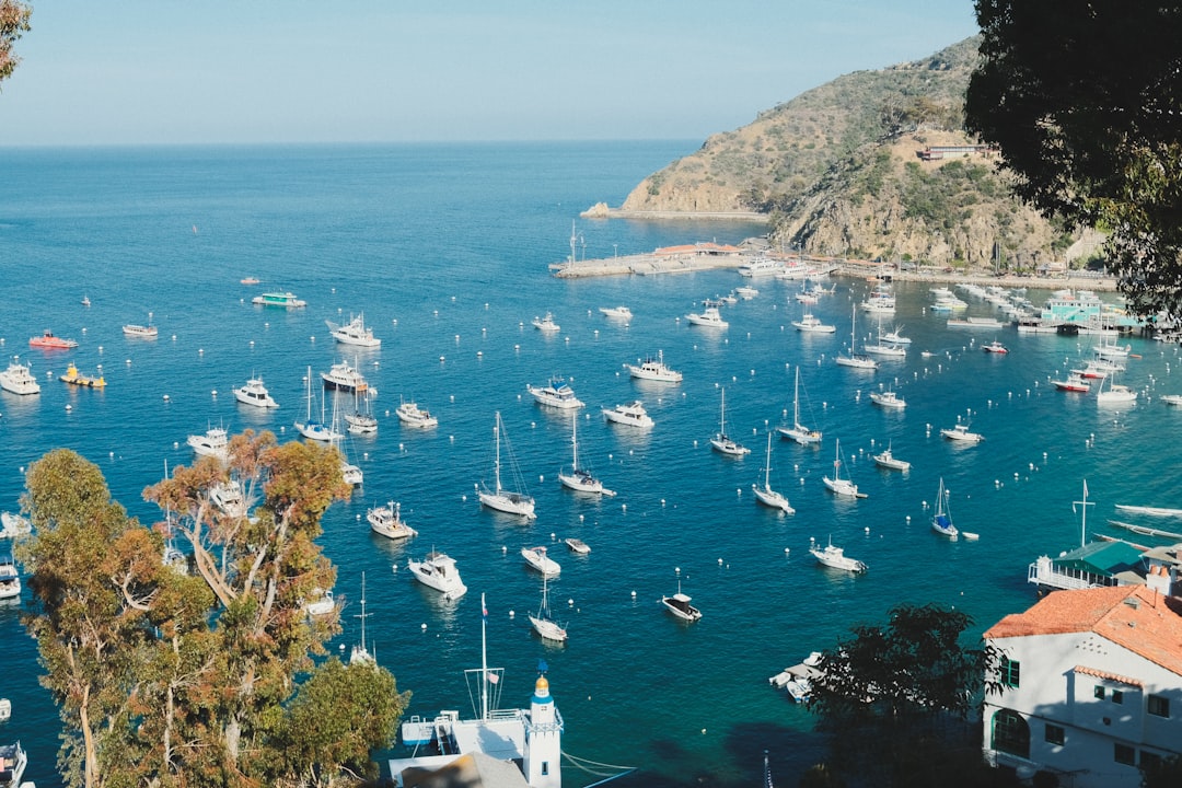a bunch of boats that are in the water,