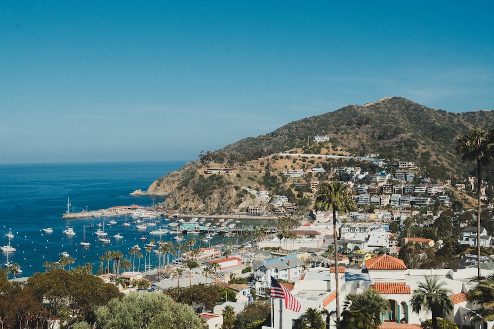 a view of a harbor with boats in the water