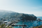 a harbor filled with lots of boats next to a lush green hillside