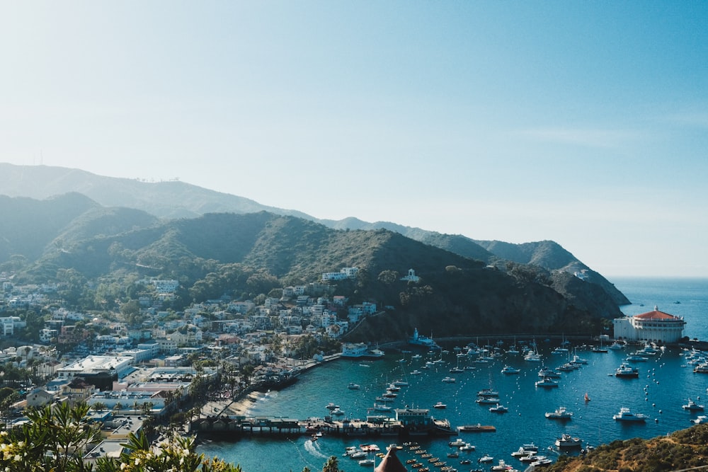 a harbor filled with lots of boats next to a lush green hillside