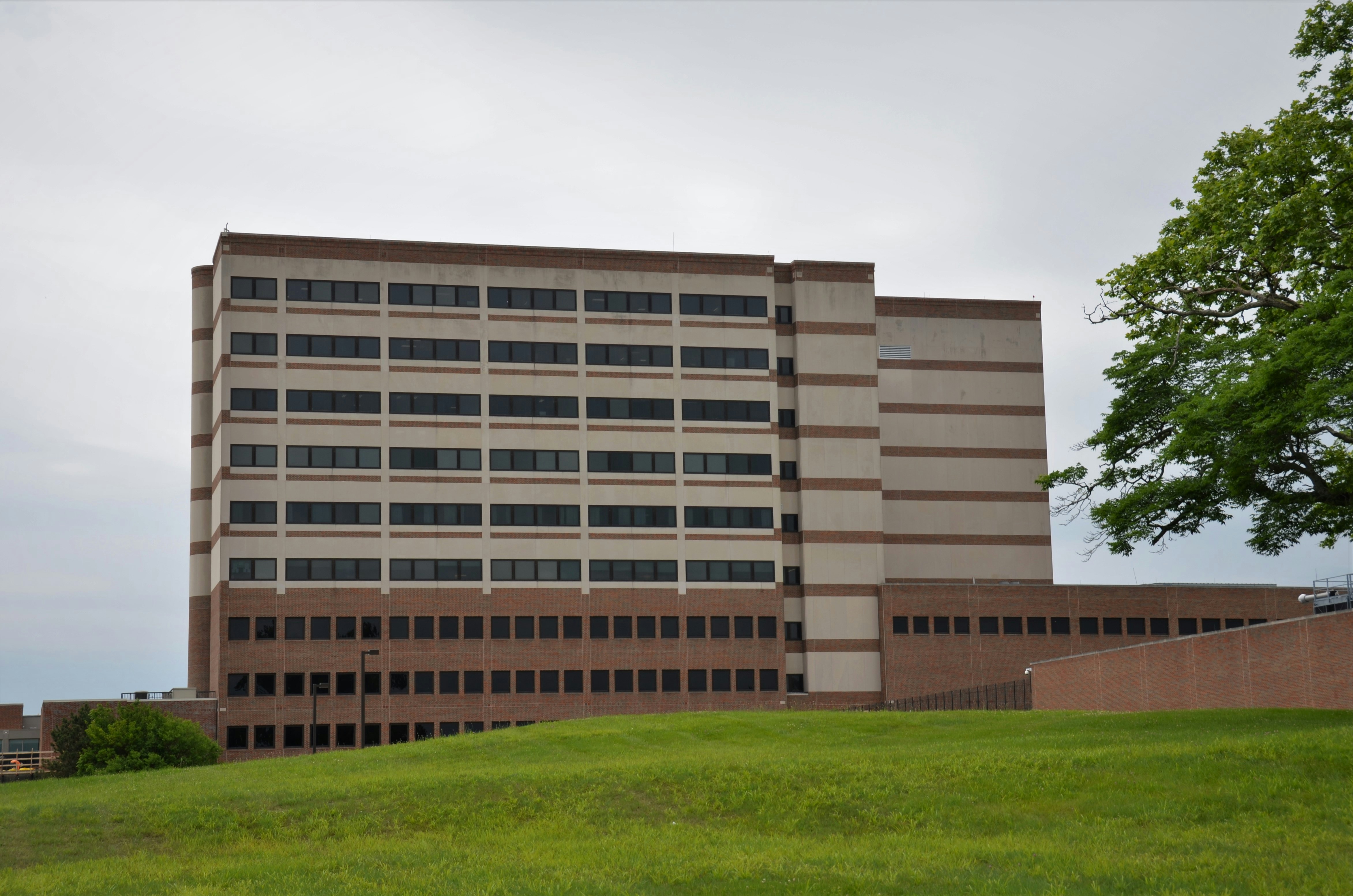 Sunrise Vista Behavioral Health