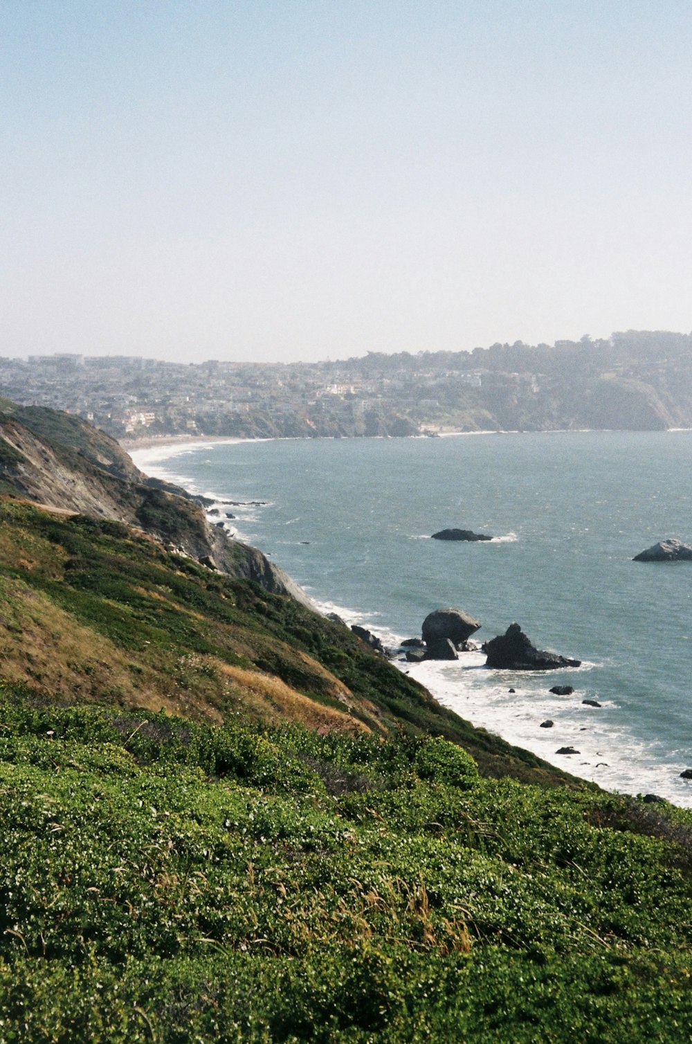 a cow standing on top of a lush green hillside next to the ocean