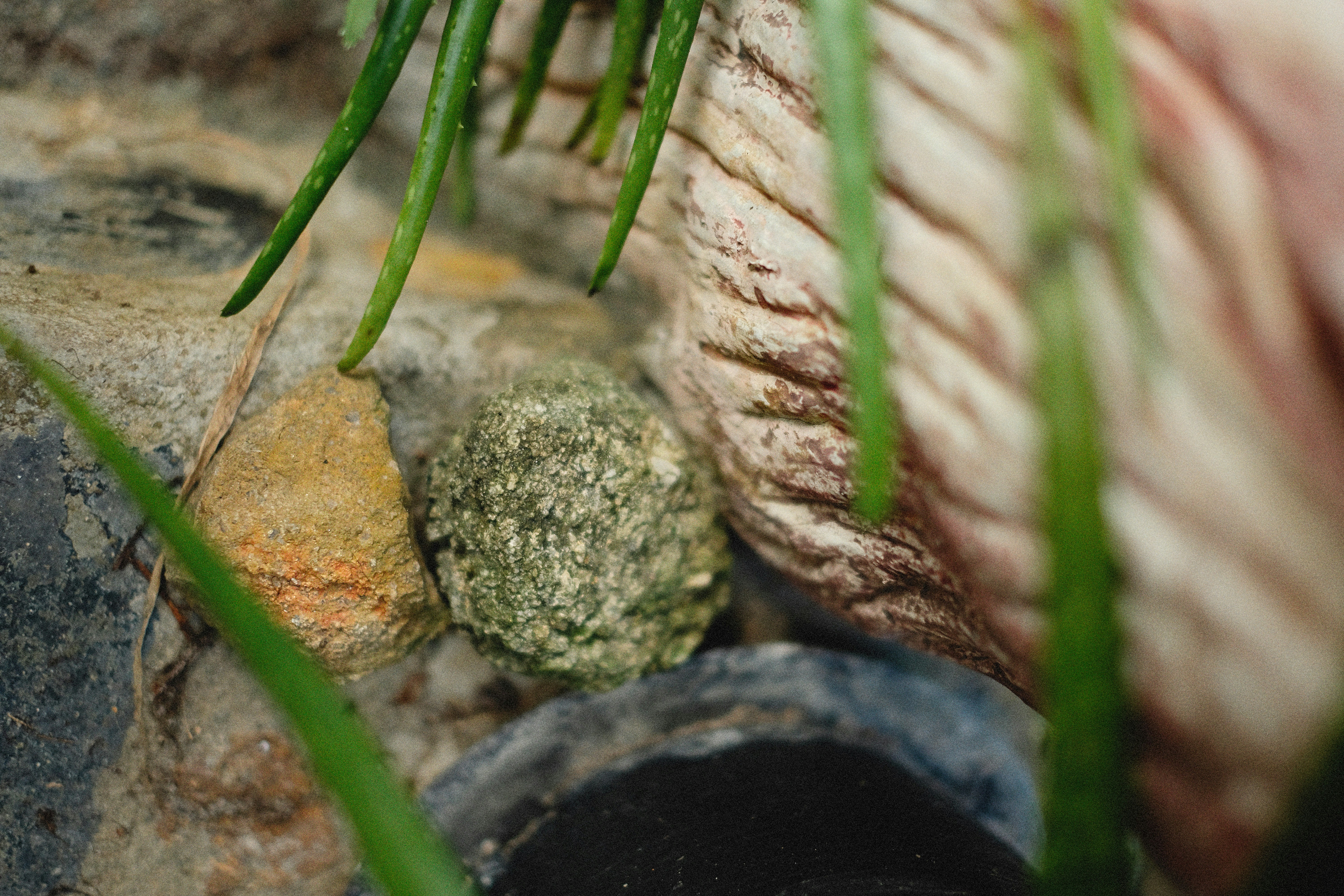 Photo by alexeydemidov