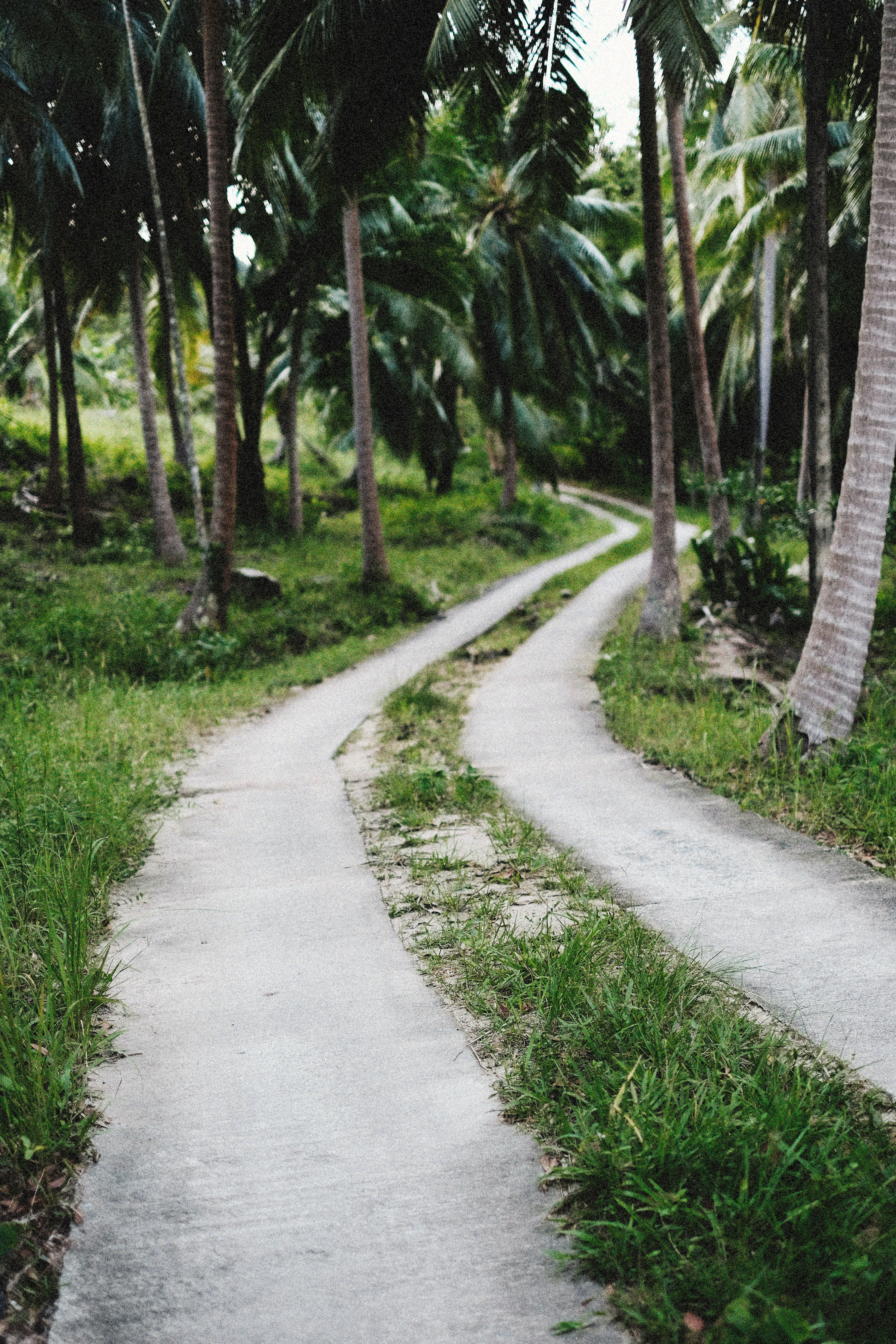 Photo by alexeydemidov