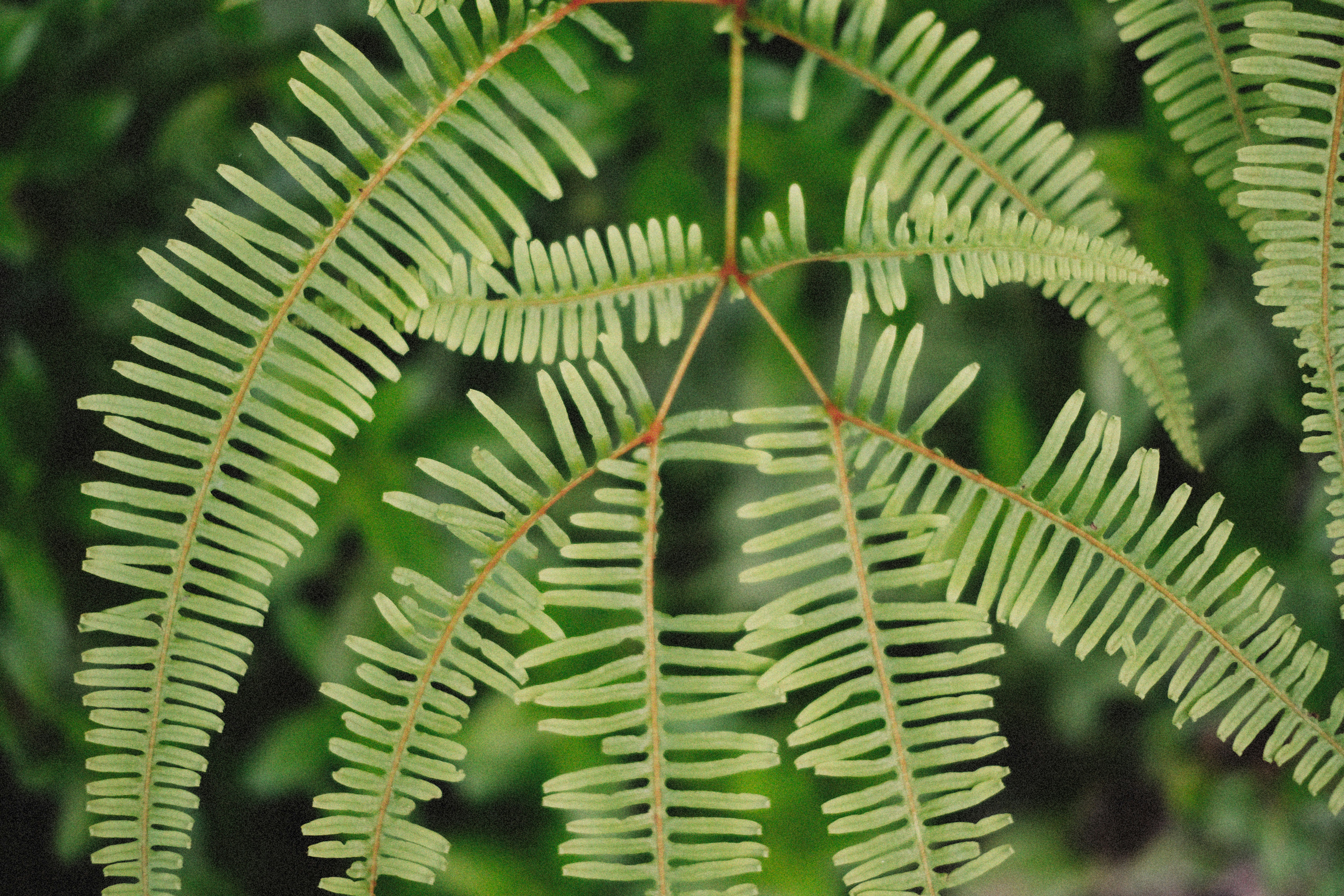 Photo by alexeydemidov