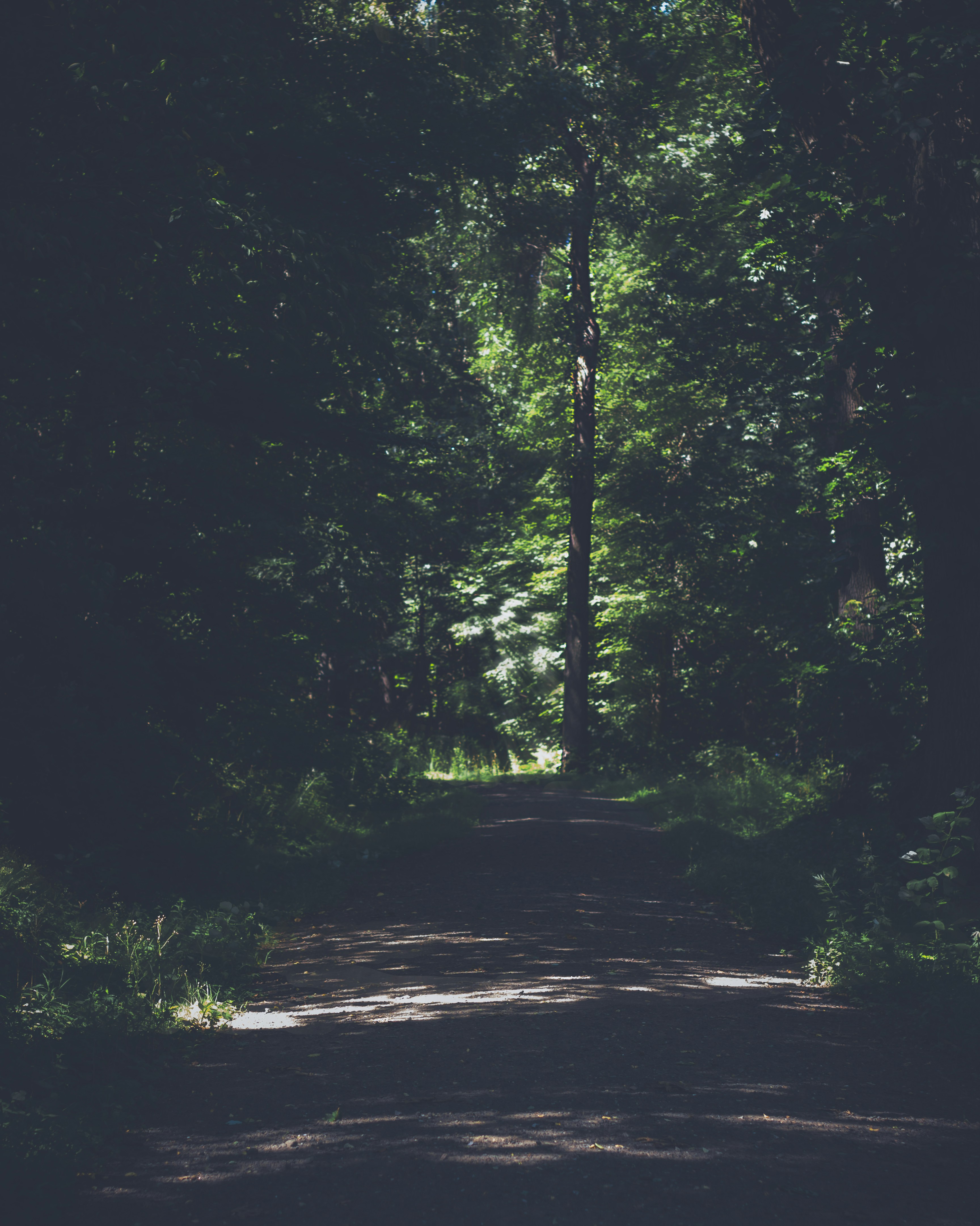 Photo by emmanuelphaeton