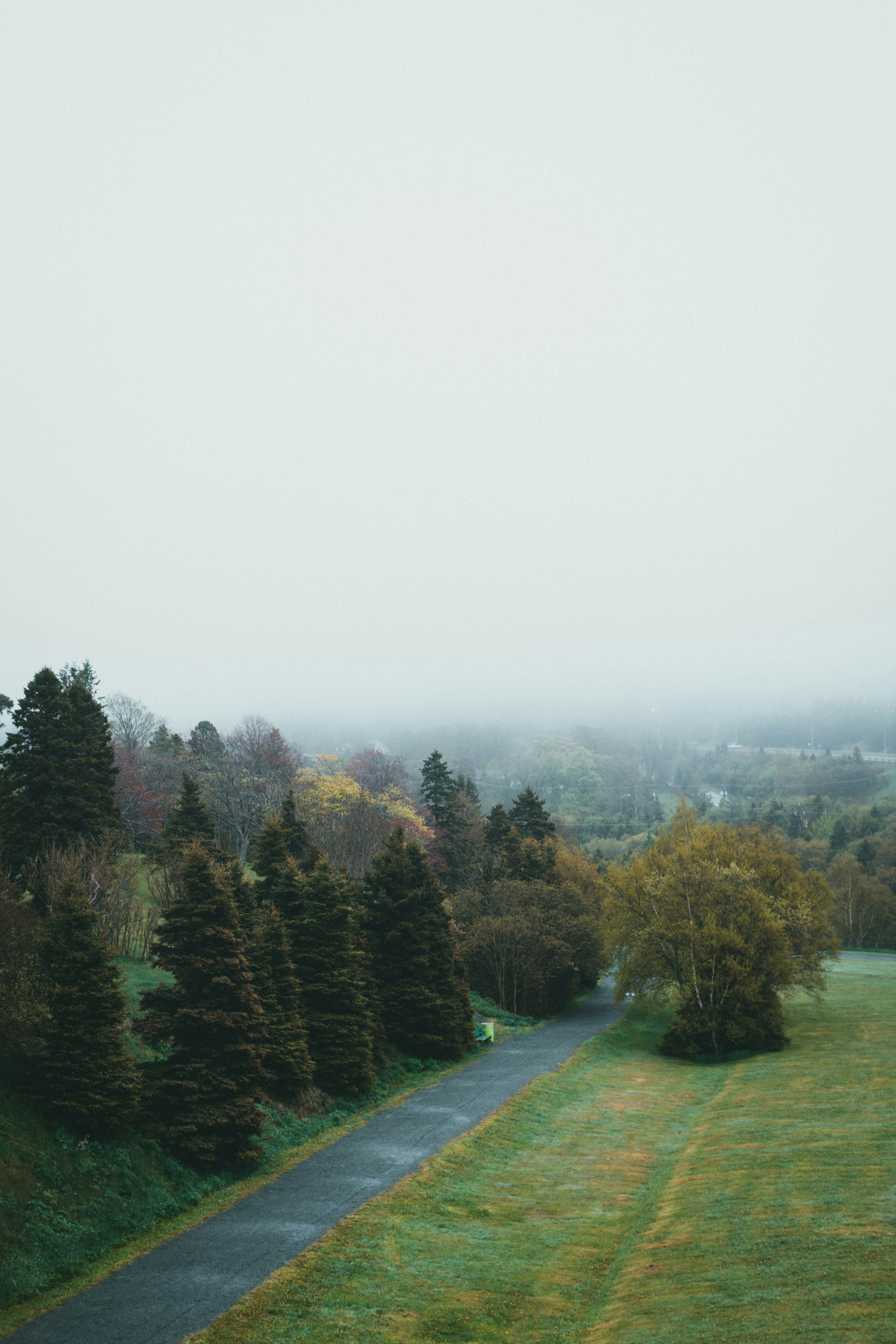 Photo by theshuttervision