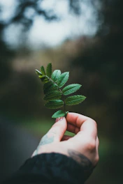 Supporting Healing Through Transitions