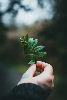 Supporting Healing Through Transitions