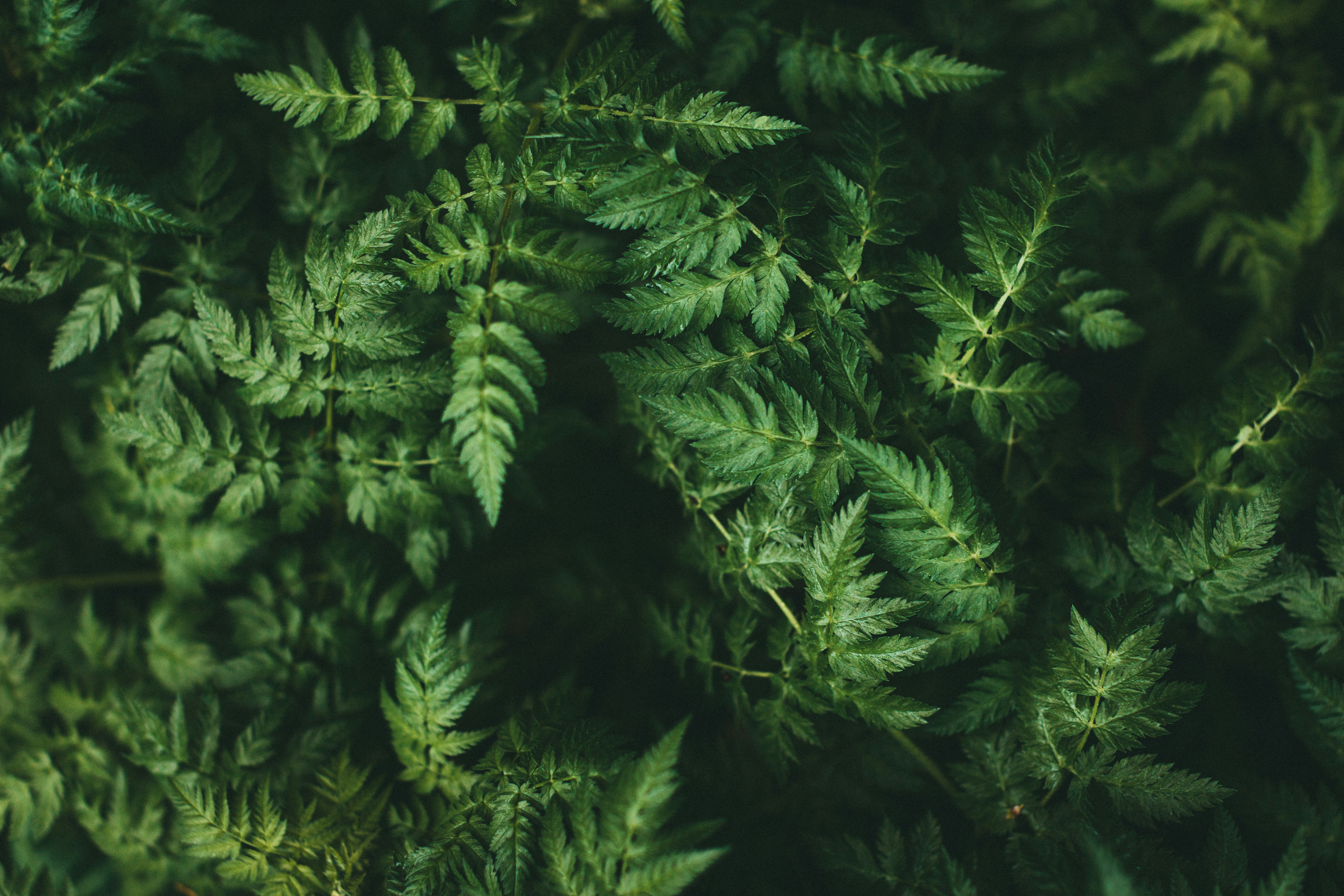 Photo by theshuttervision