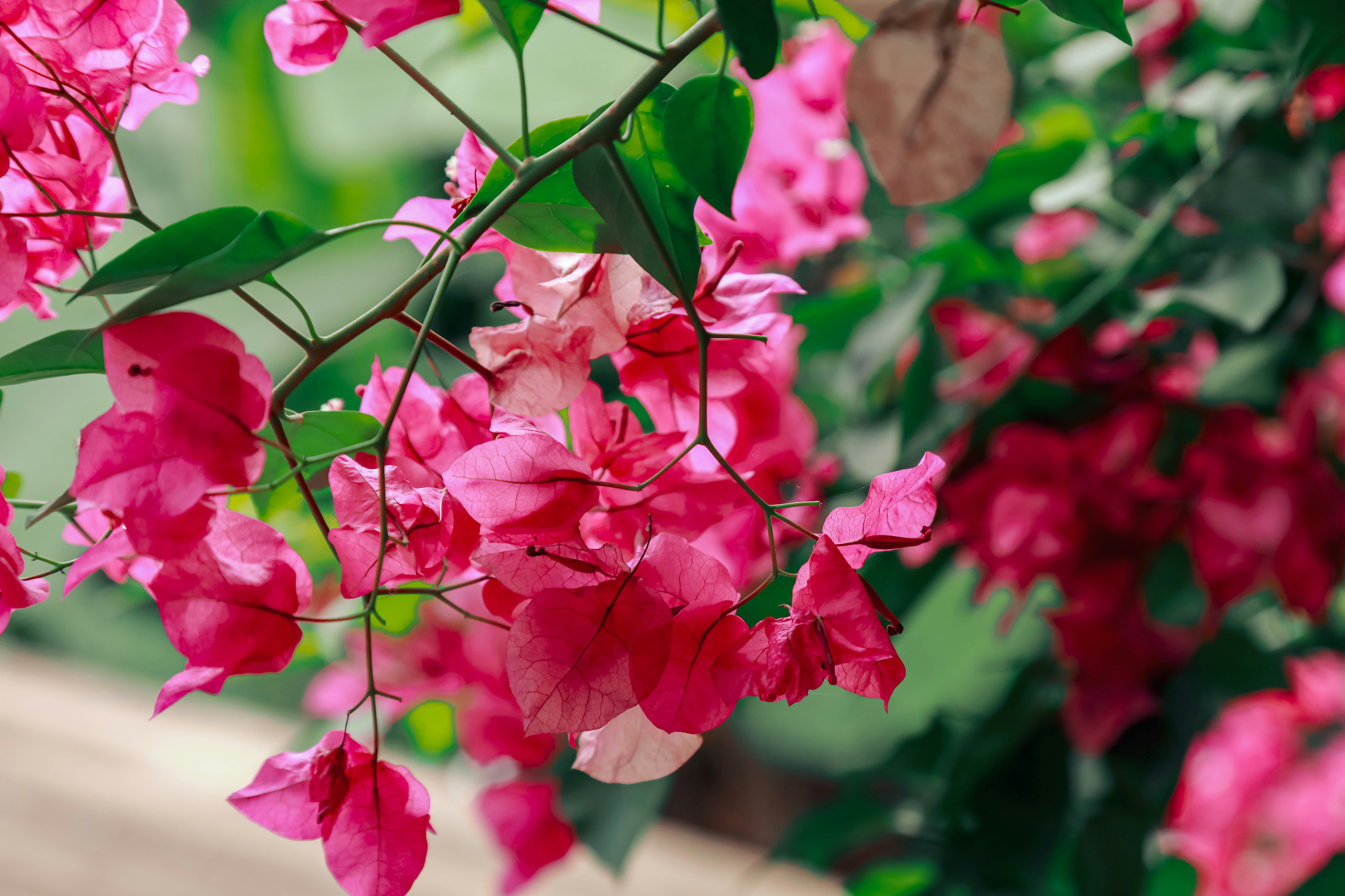 Photo by zachariahjr97