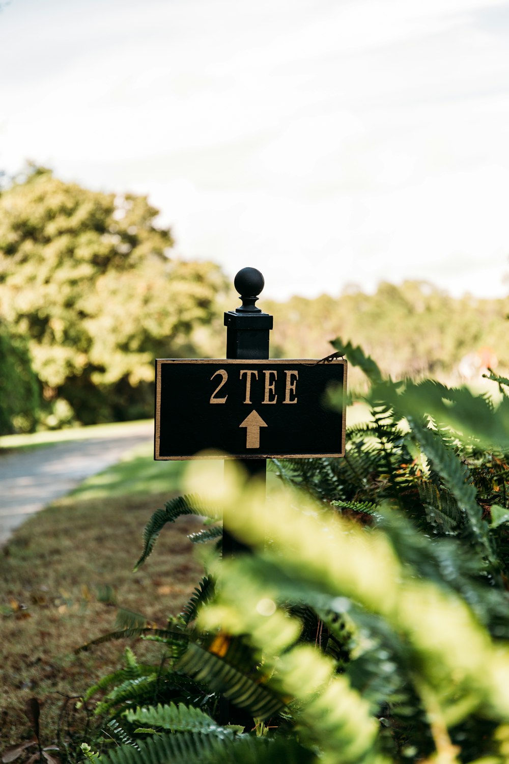 a sign pointing to two tees in the grass