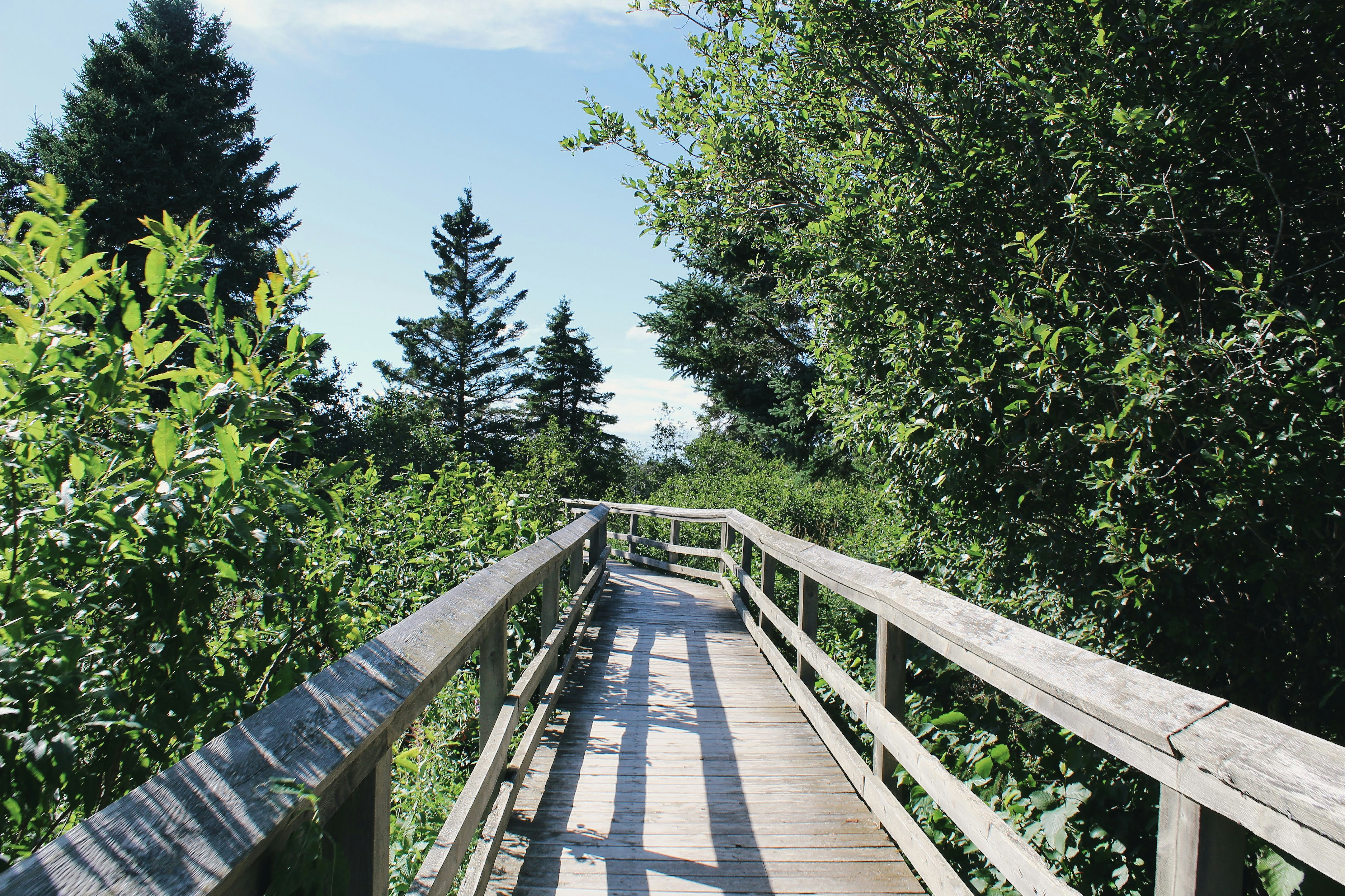 Photo by katherinestpierre