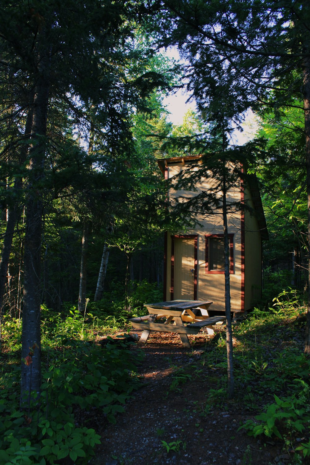 a small cabin in the middle of a forest