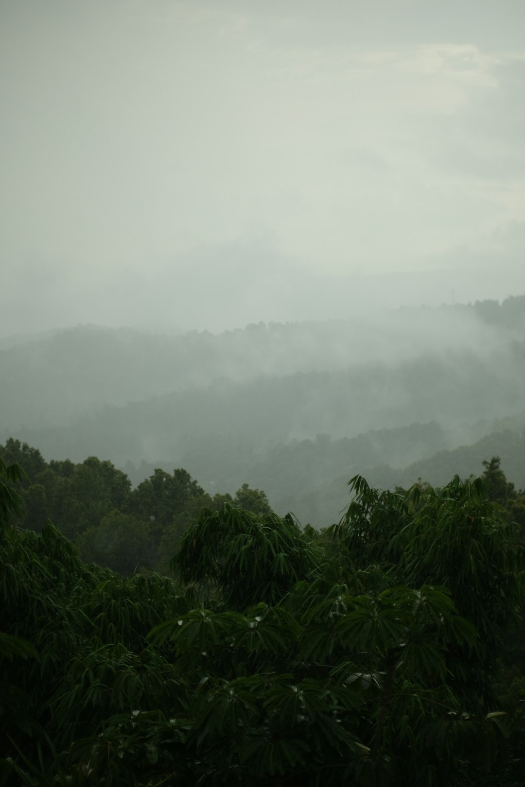 Ecoregion photo spot Banjuwedang Indonesia