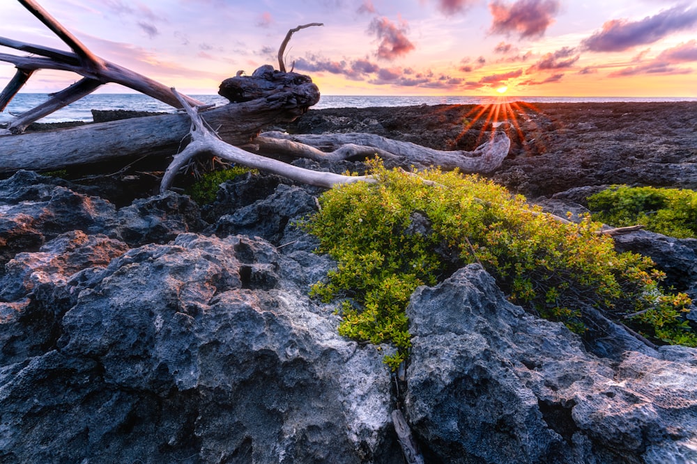 the sun is setting over a rocky beach