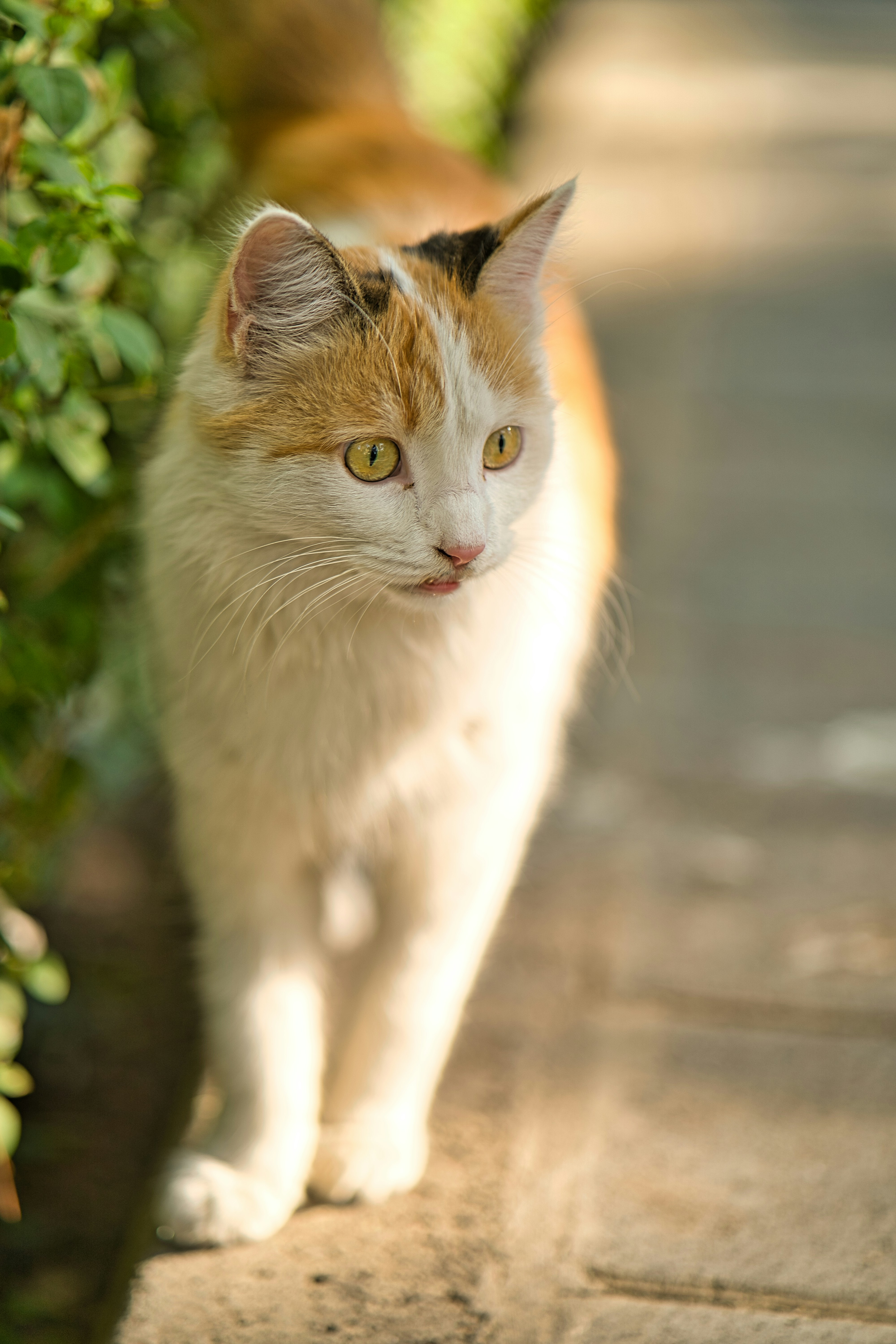 Photo by akbarnemati