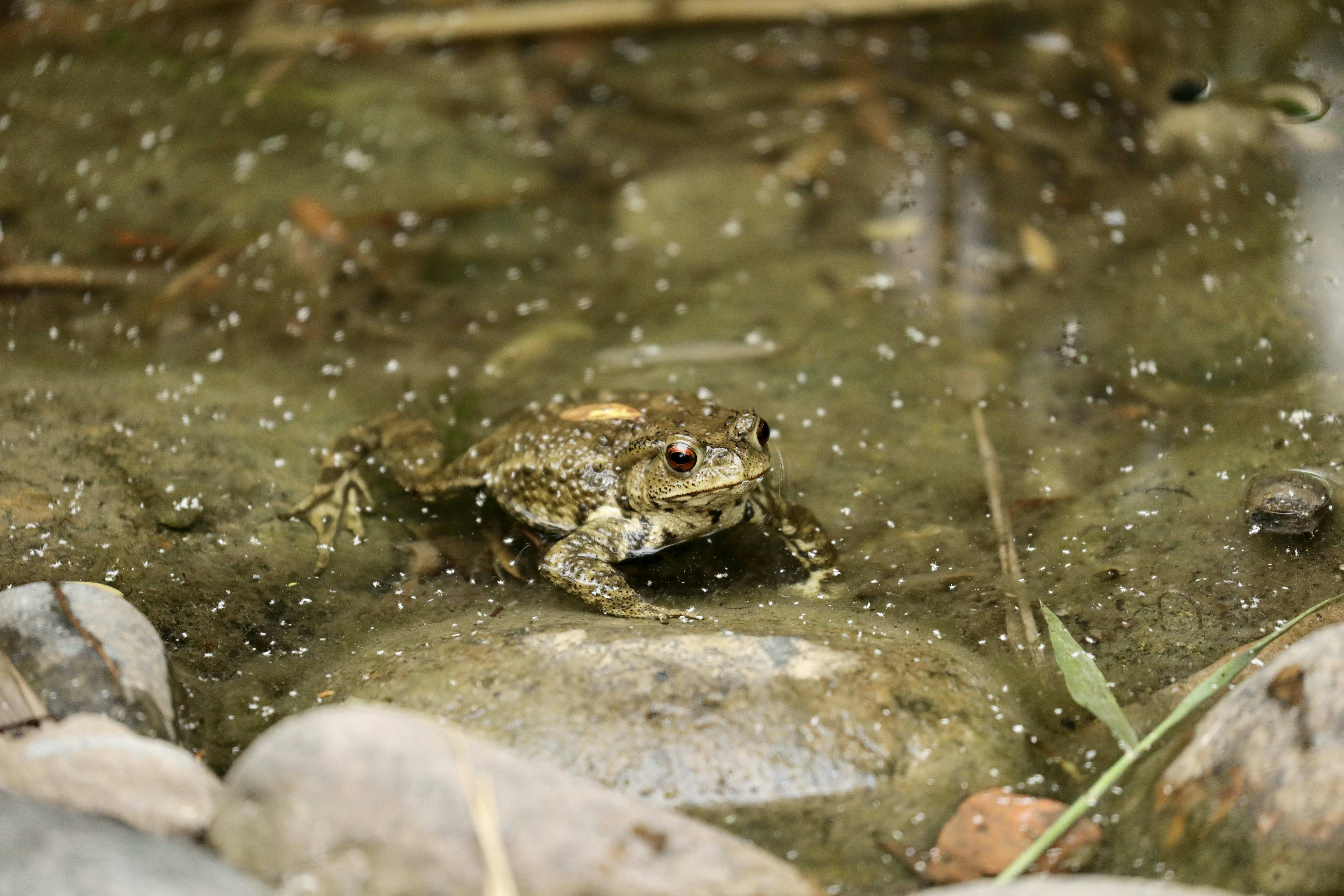 Photo by winefinderac