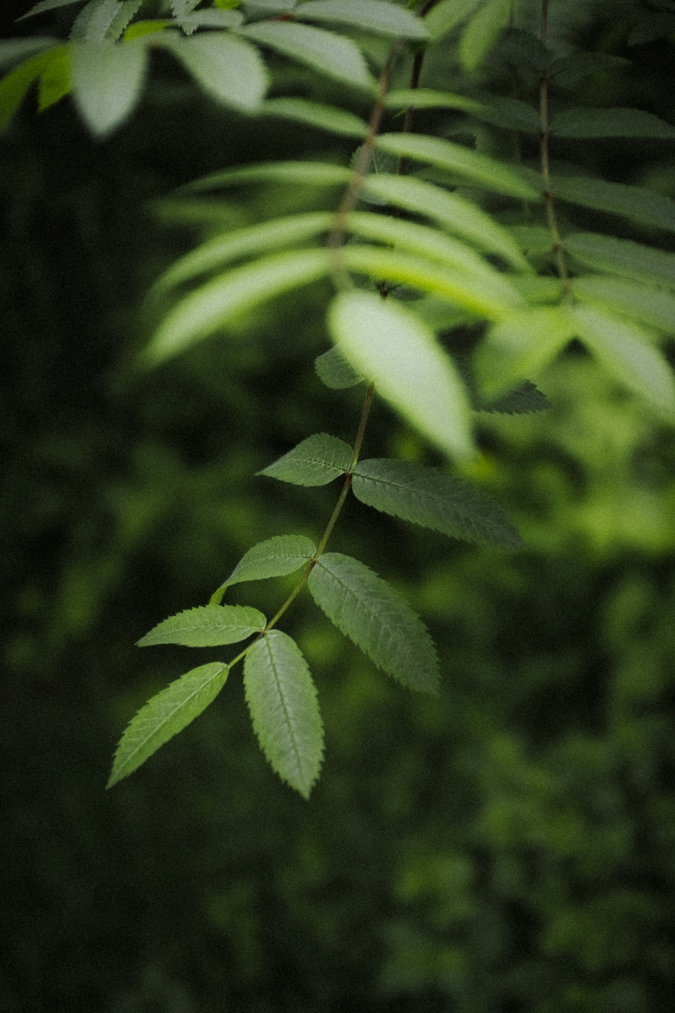 Photo by kirillpershin