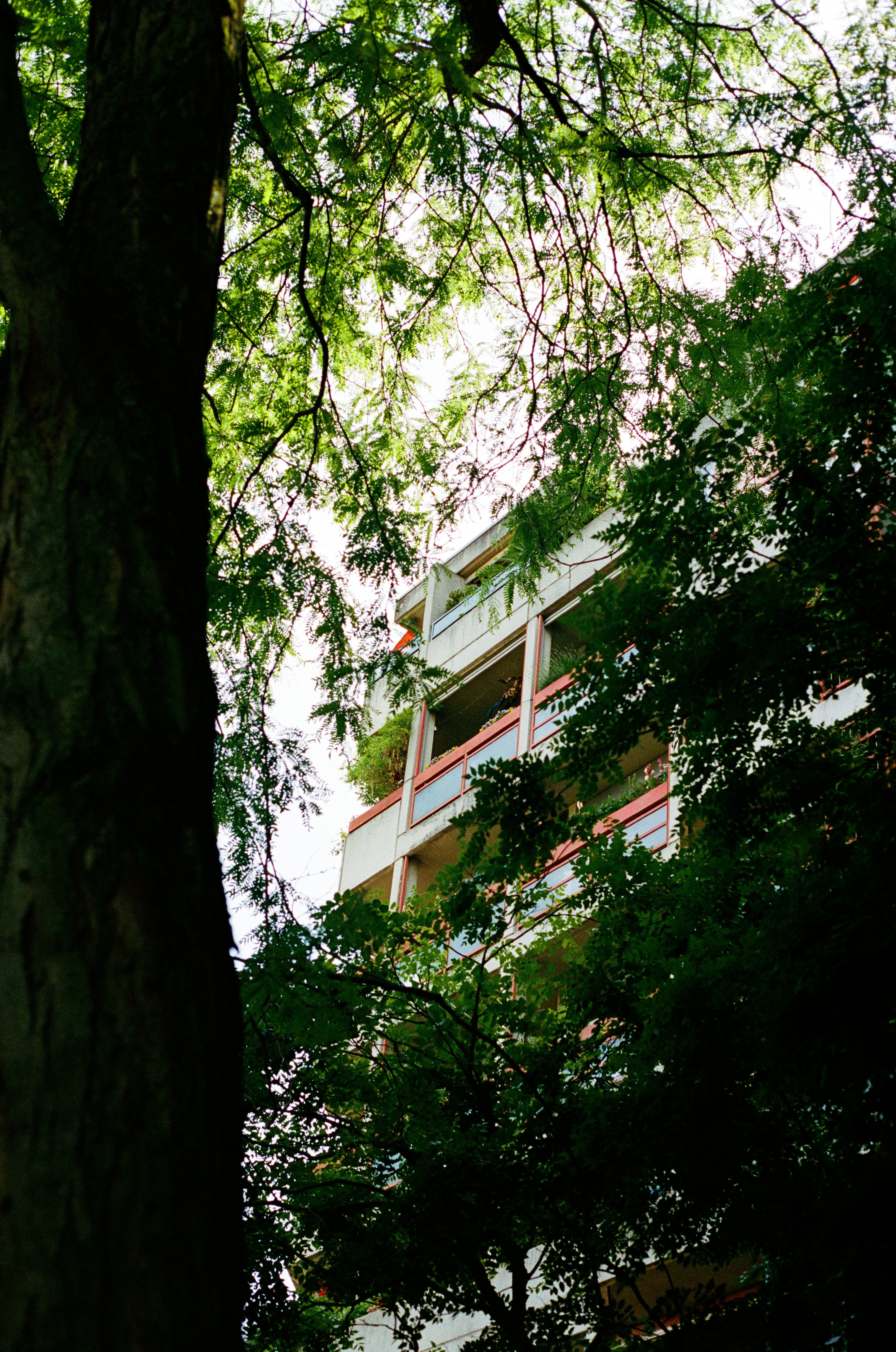 a tall building sitting next to a lush green forest