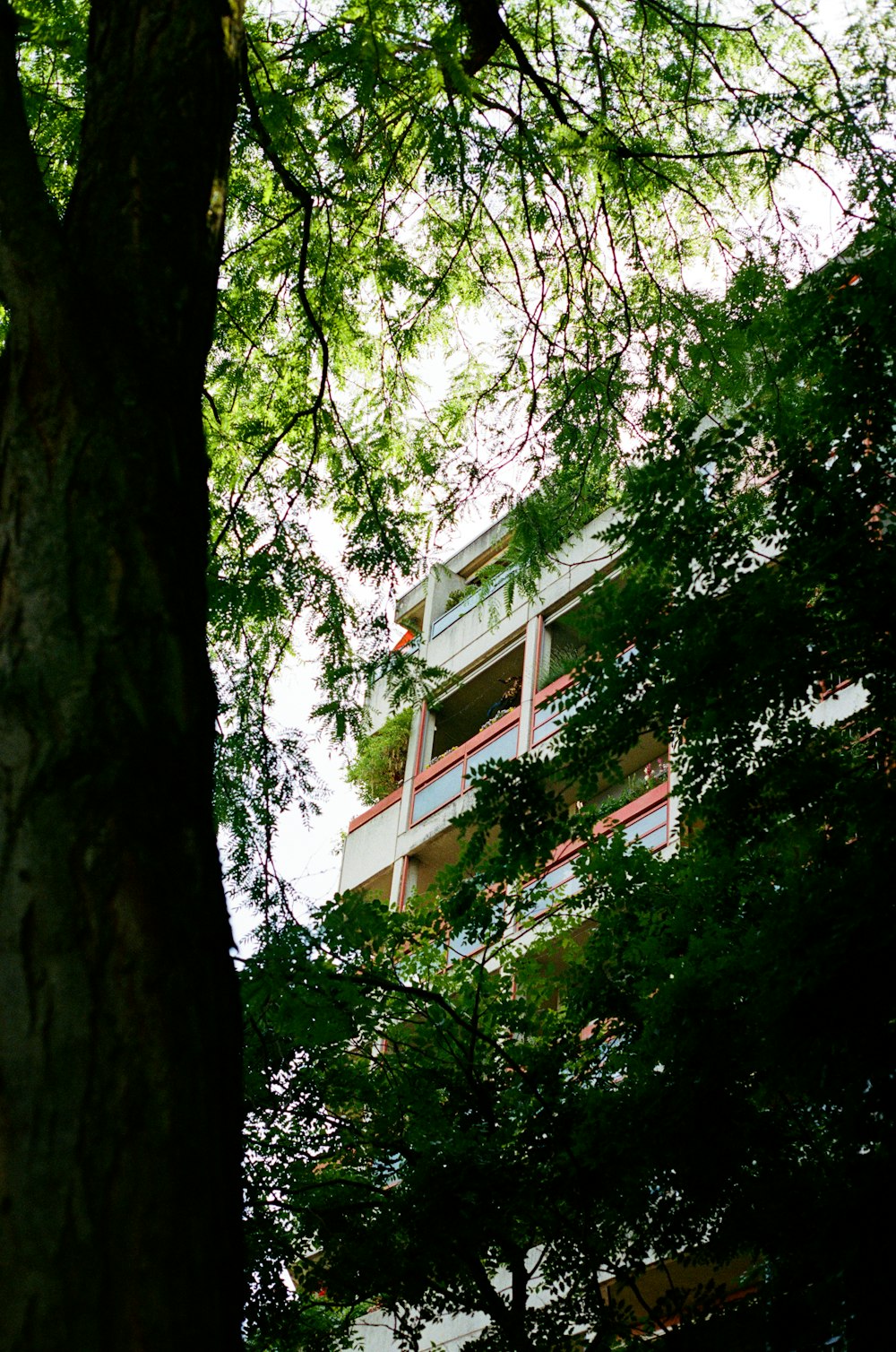 a tall building sitting next to a lush green forest