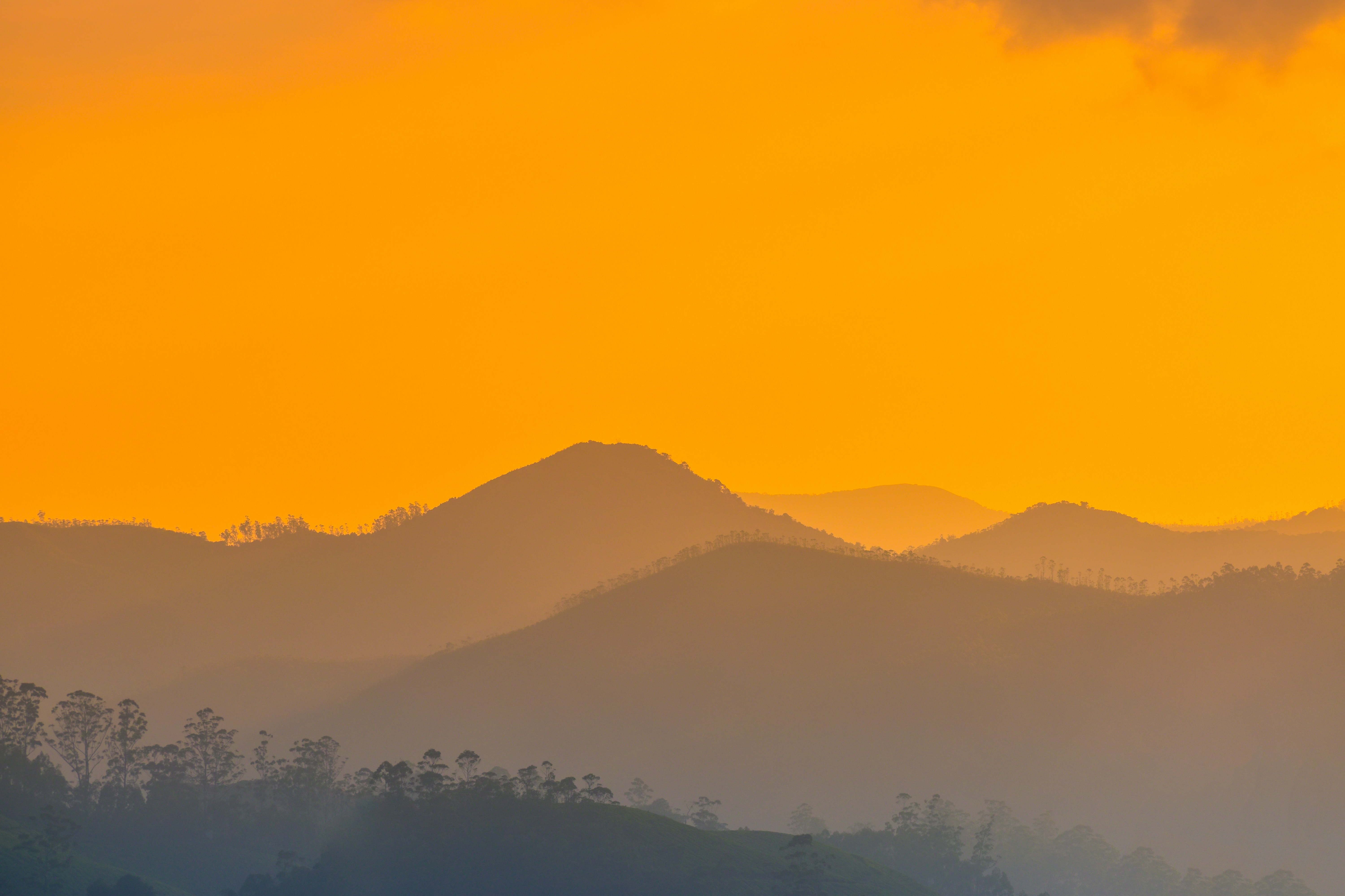 Photo by navi_photography