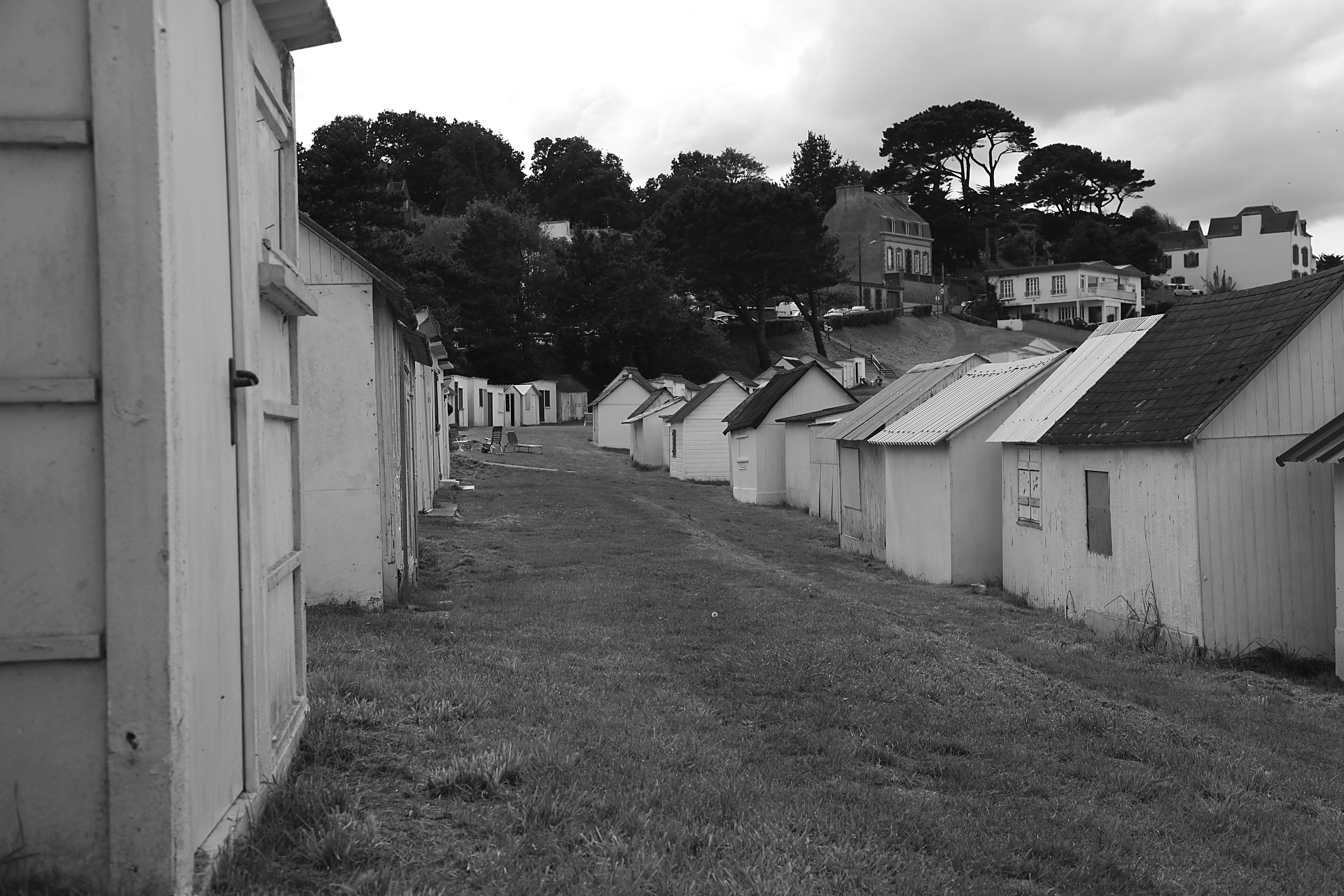 a black and white photo of a row of houses