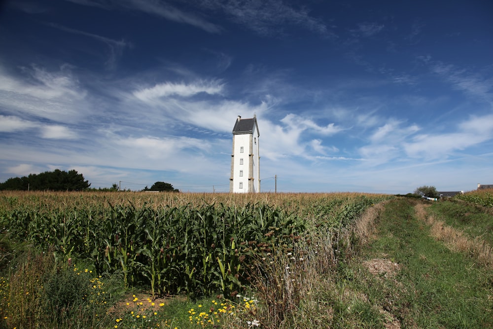 a tall white tower sitting in the middle of a field