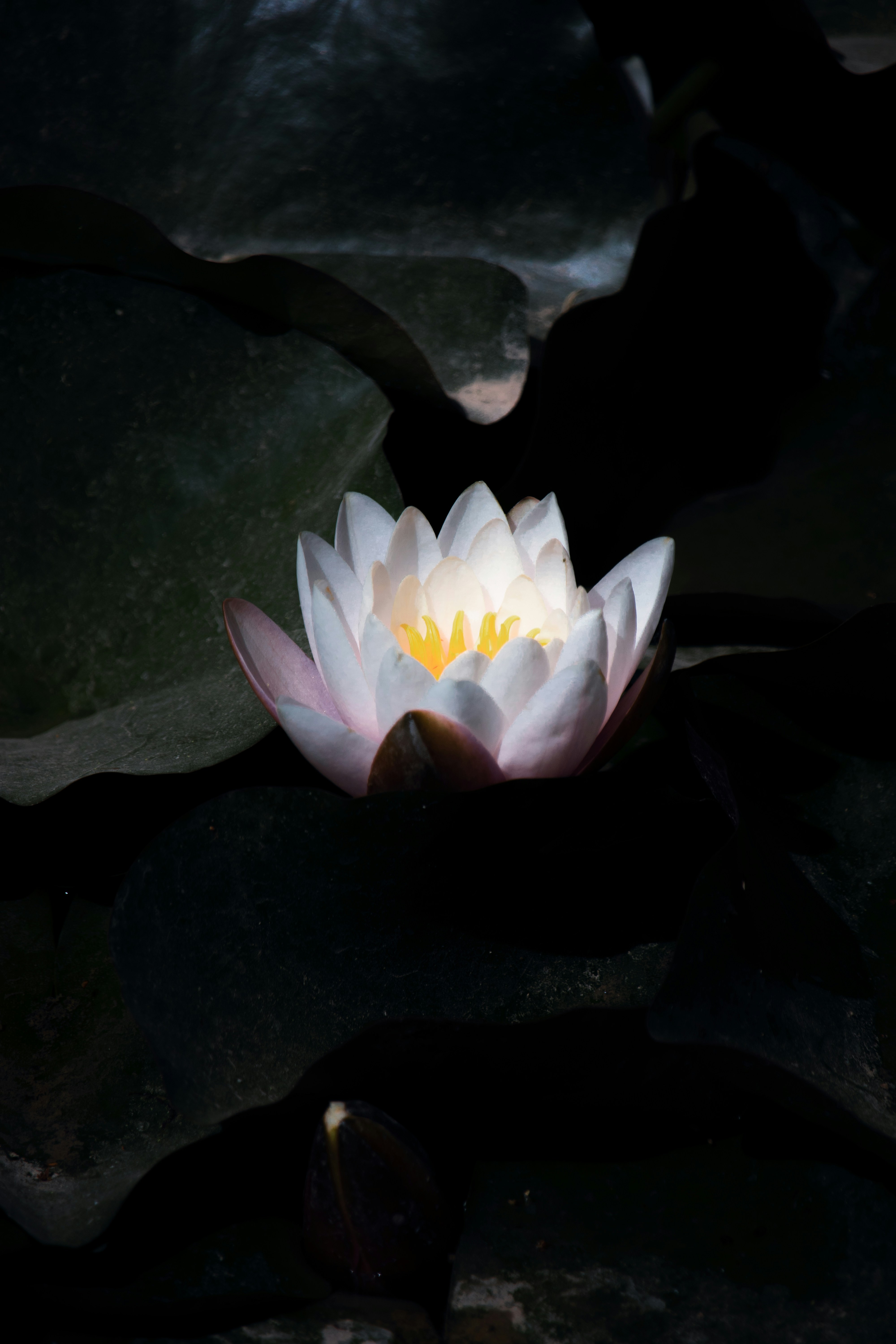 Photo by sinabahar76