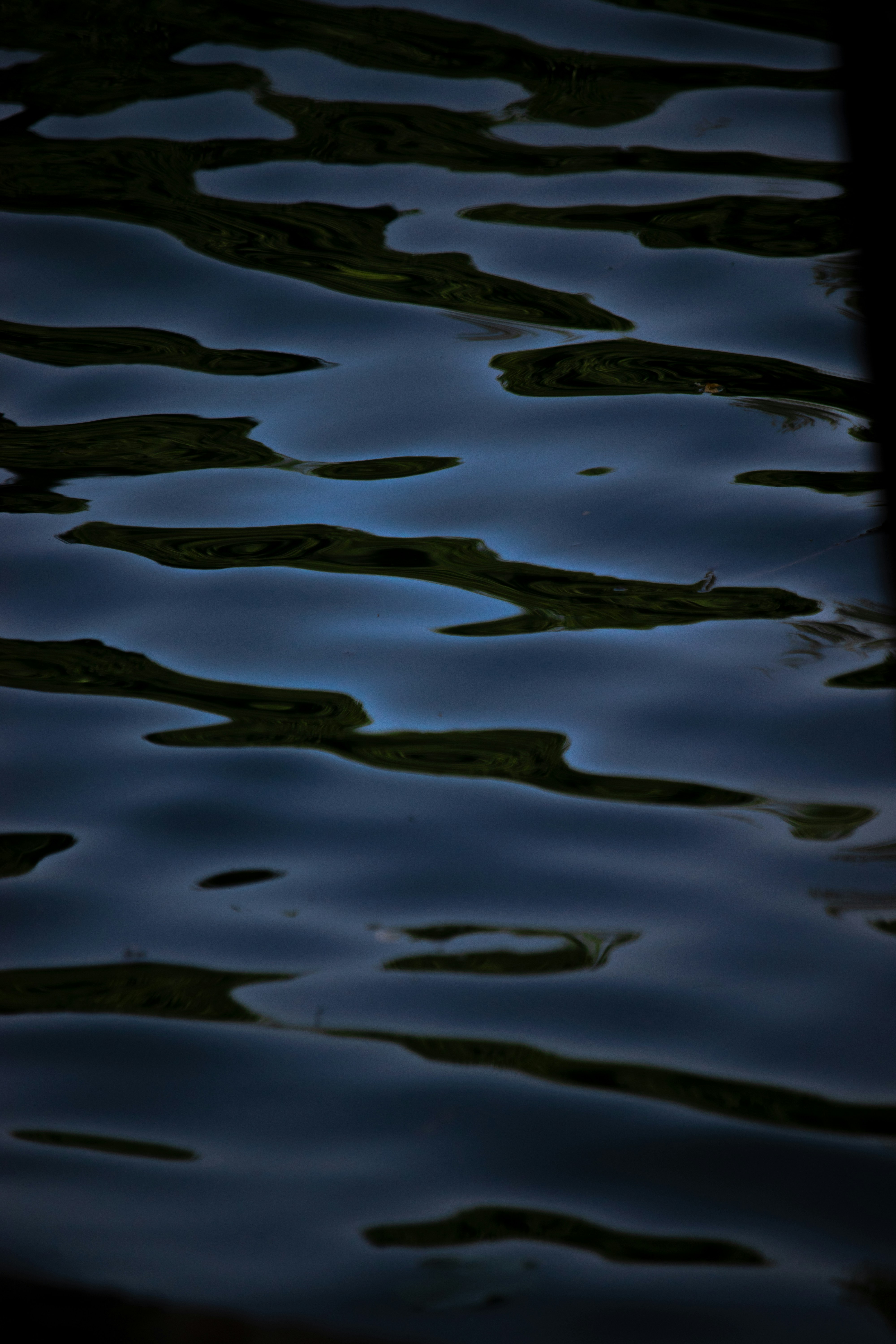 Photo by sinabahar76