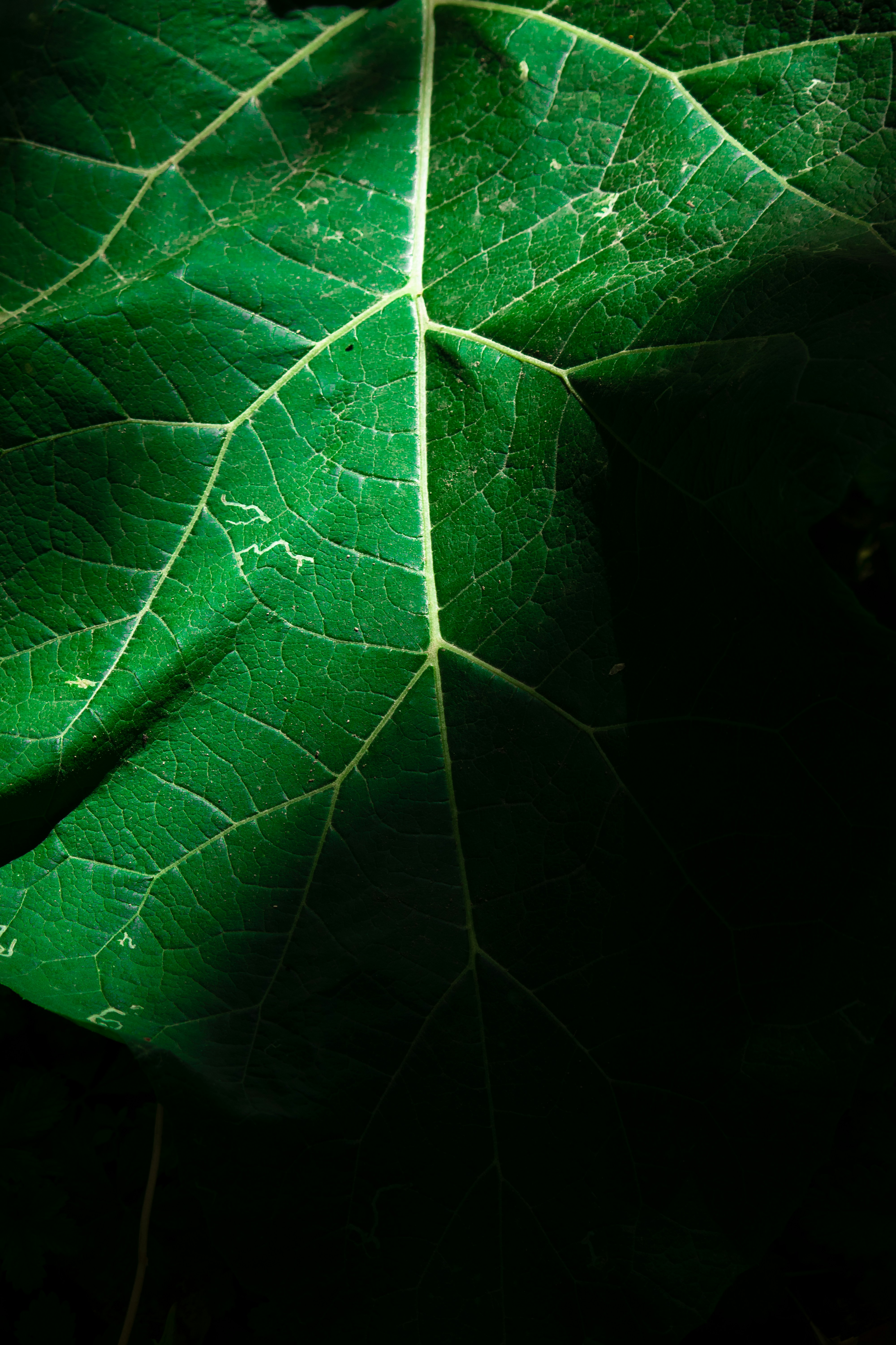 Photo by sinabahar76