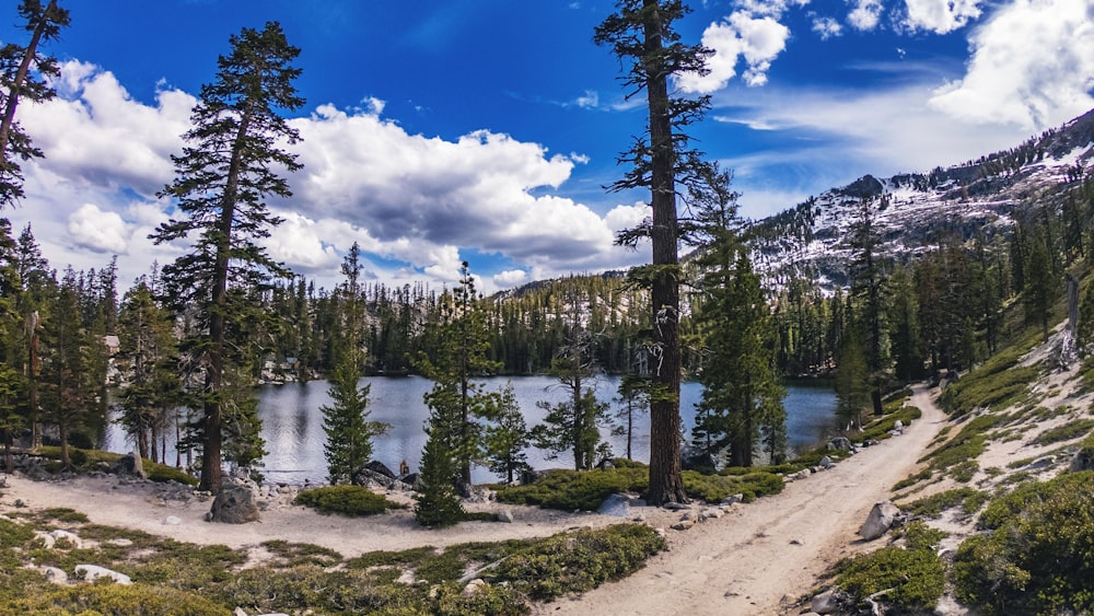 a scenic view of a lake surrounded by trees