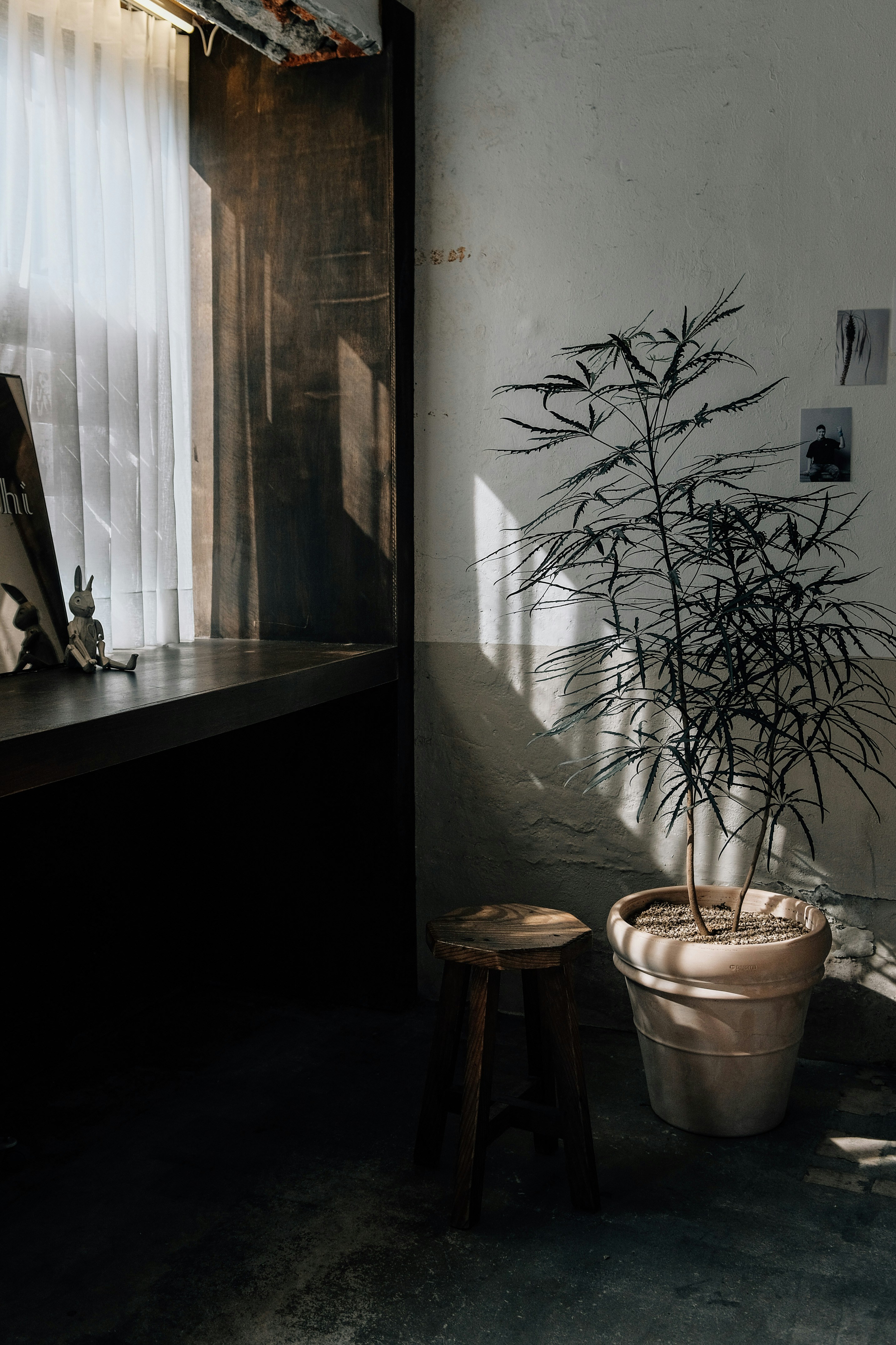 Photo by insungpandora