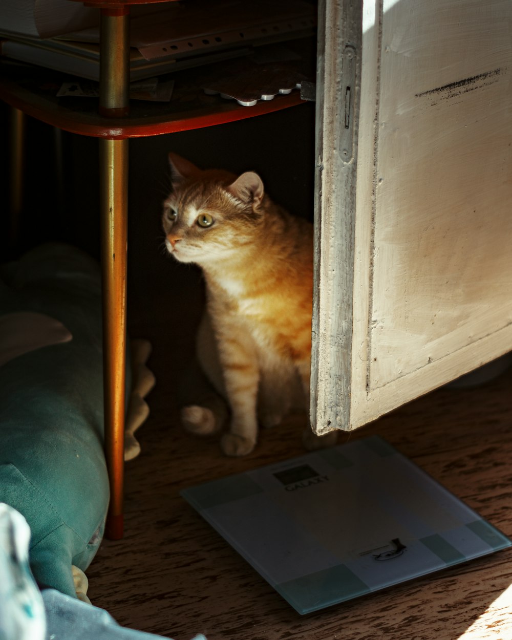 a cat sitting under a table next to a book