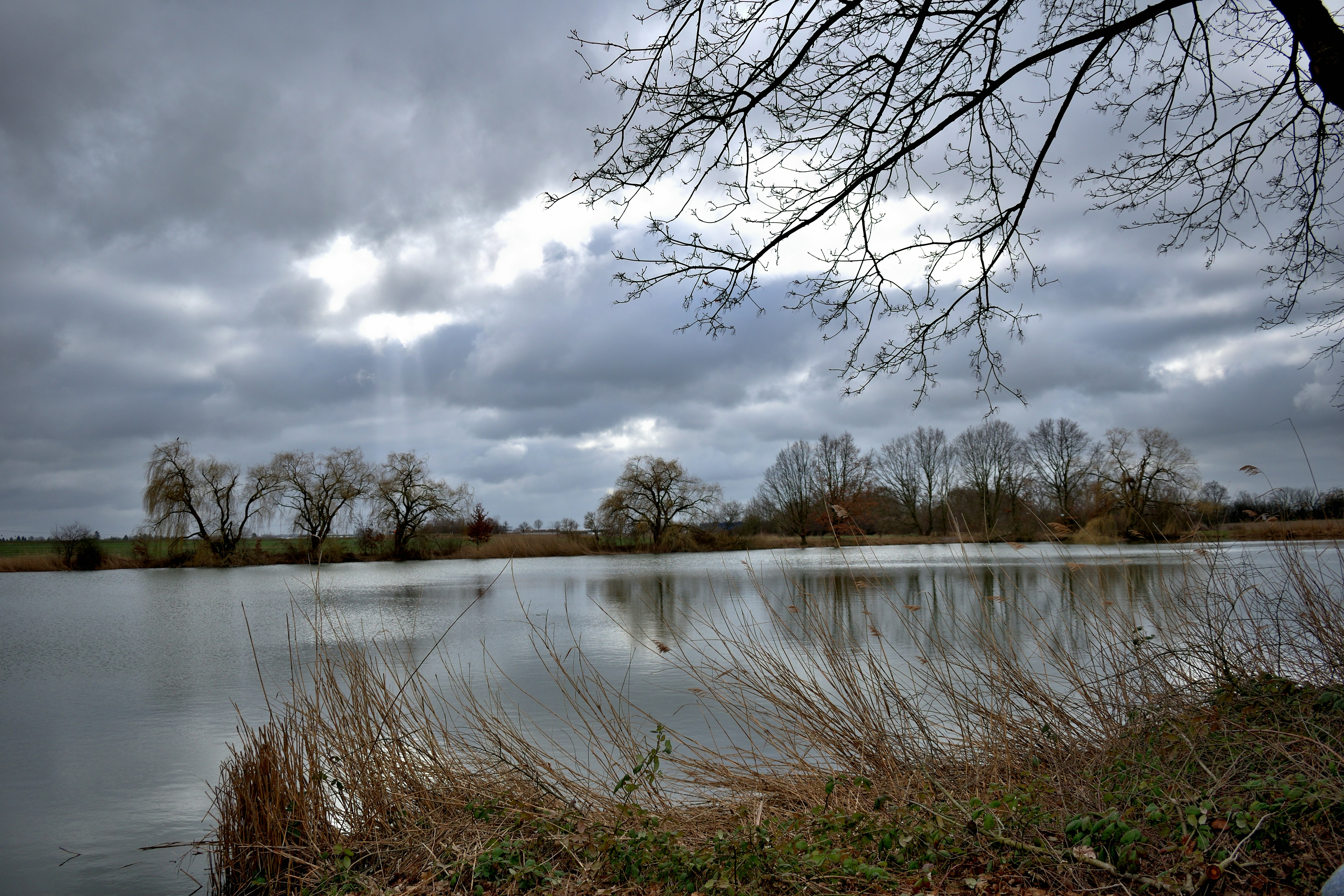 Photo by simonwiedensohler