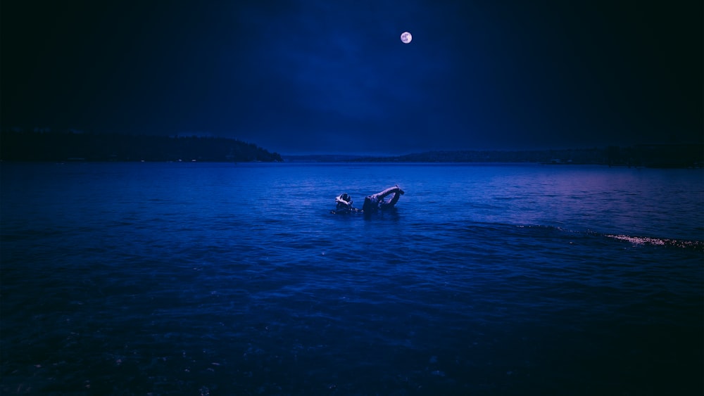 two people floating in the water at night