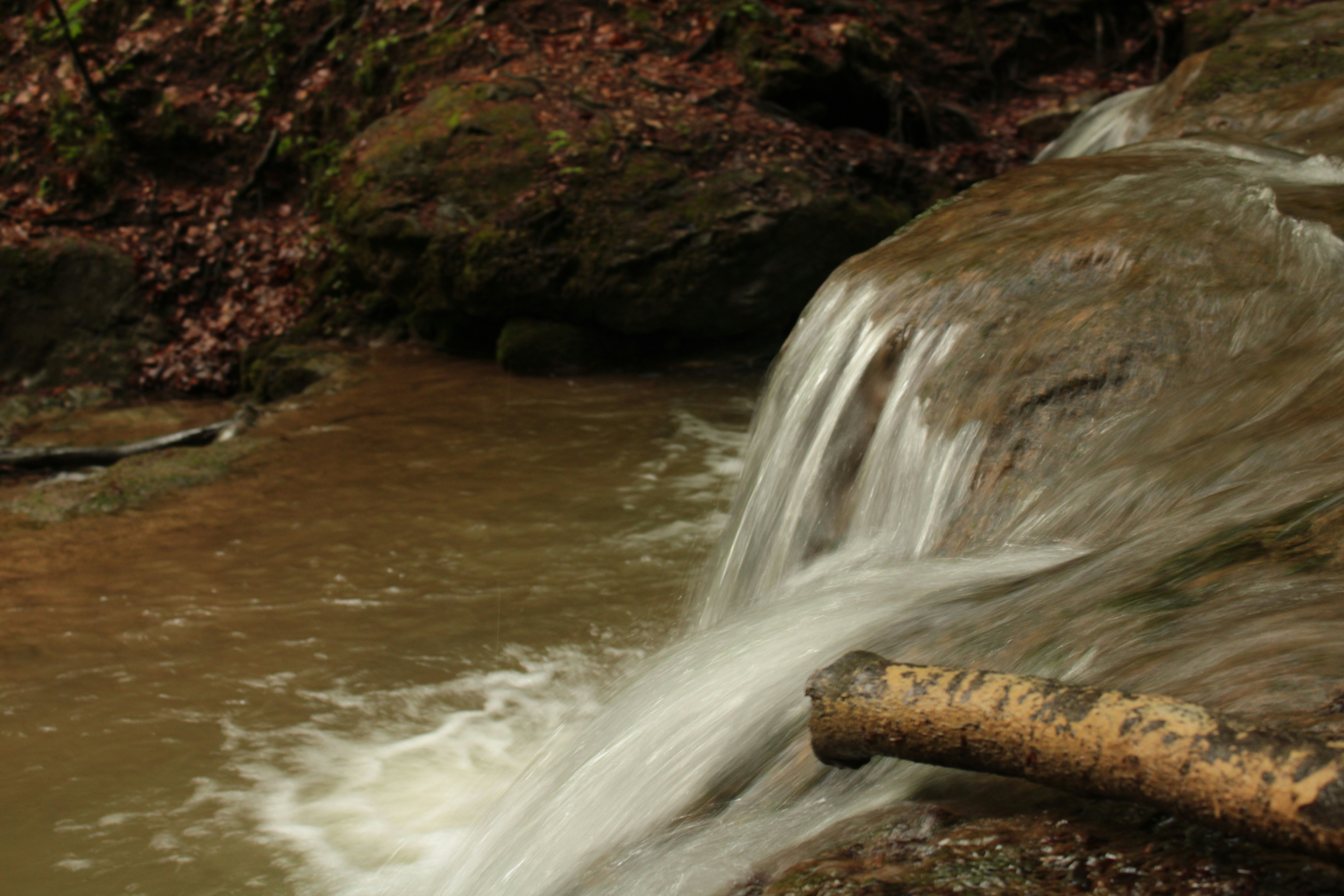 Photo by thorai9akira