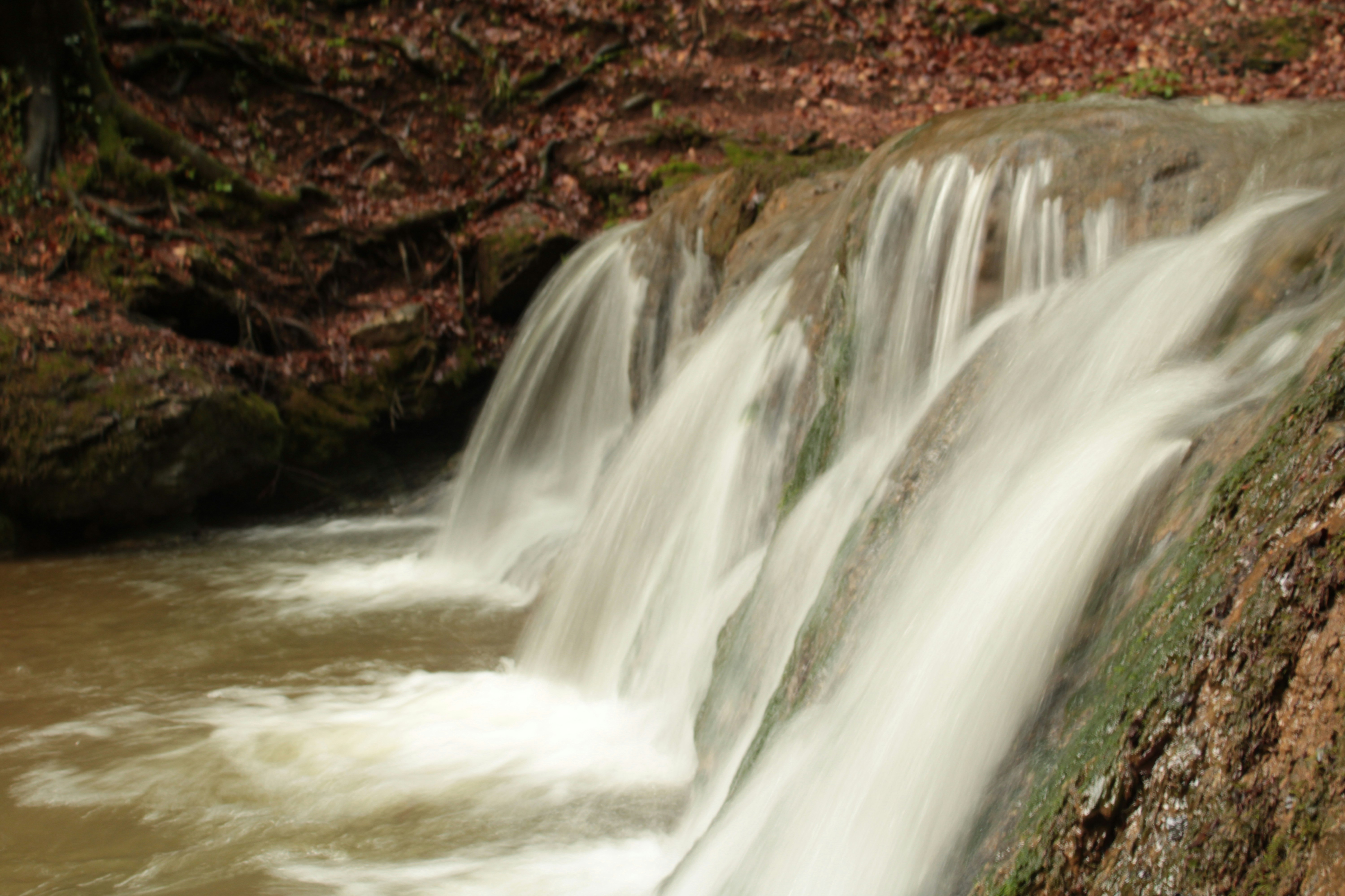 Photo by thorai9akira