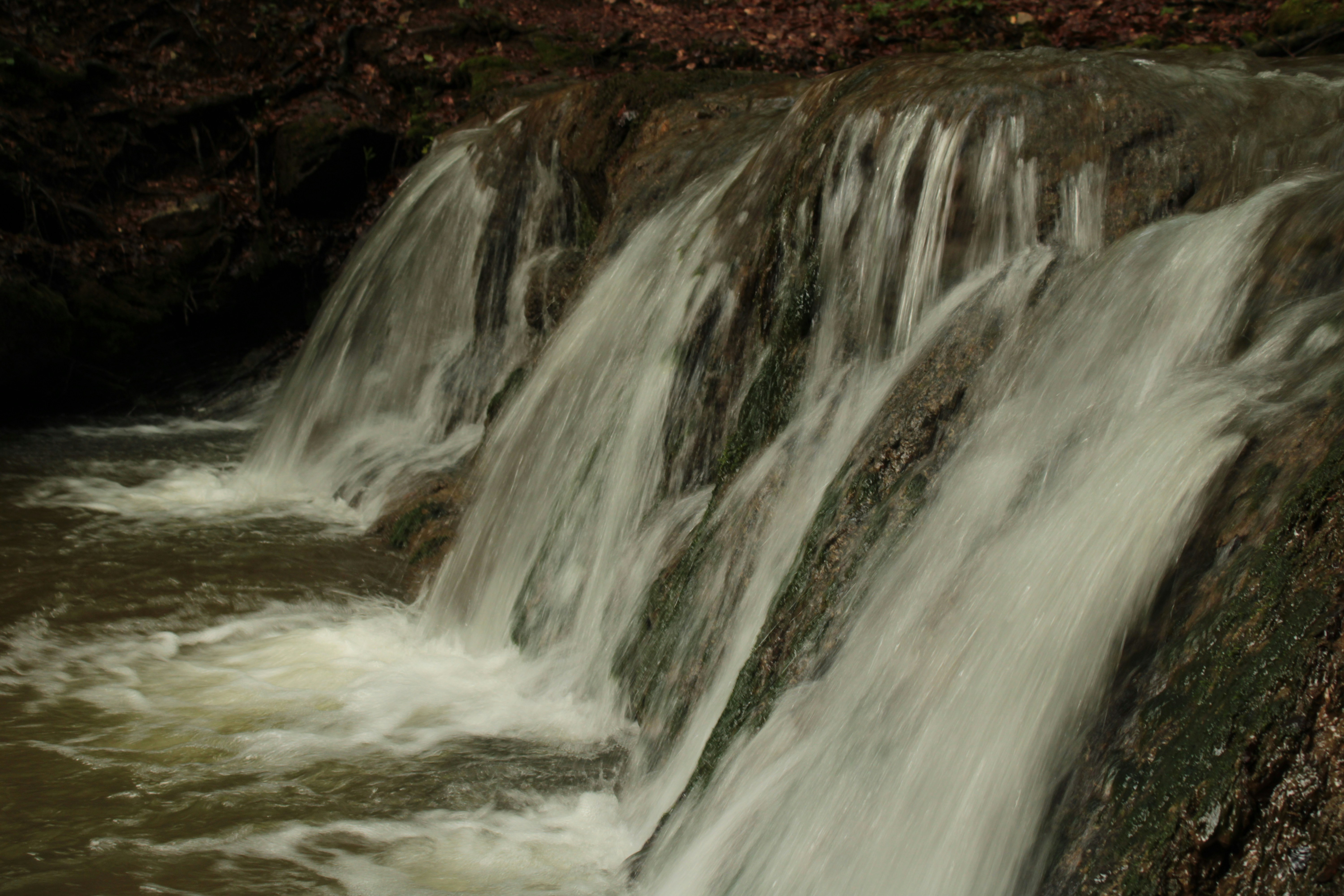 Photo by thorai9akira