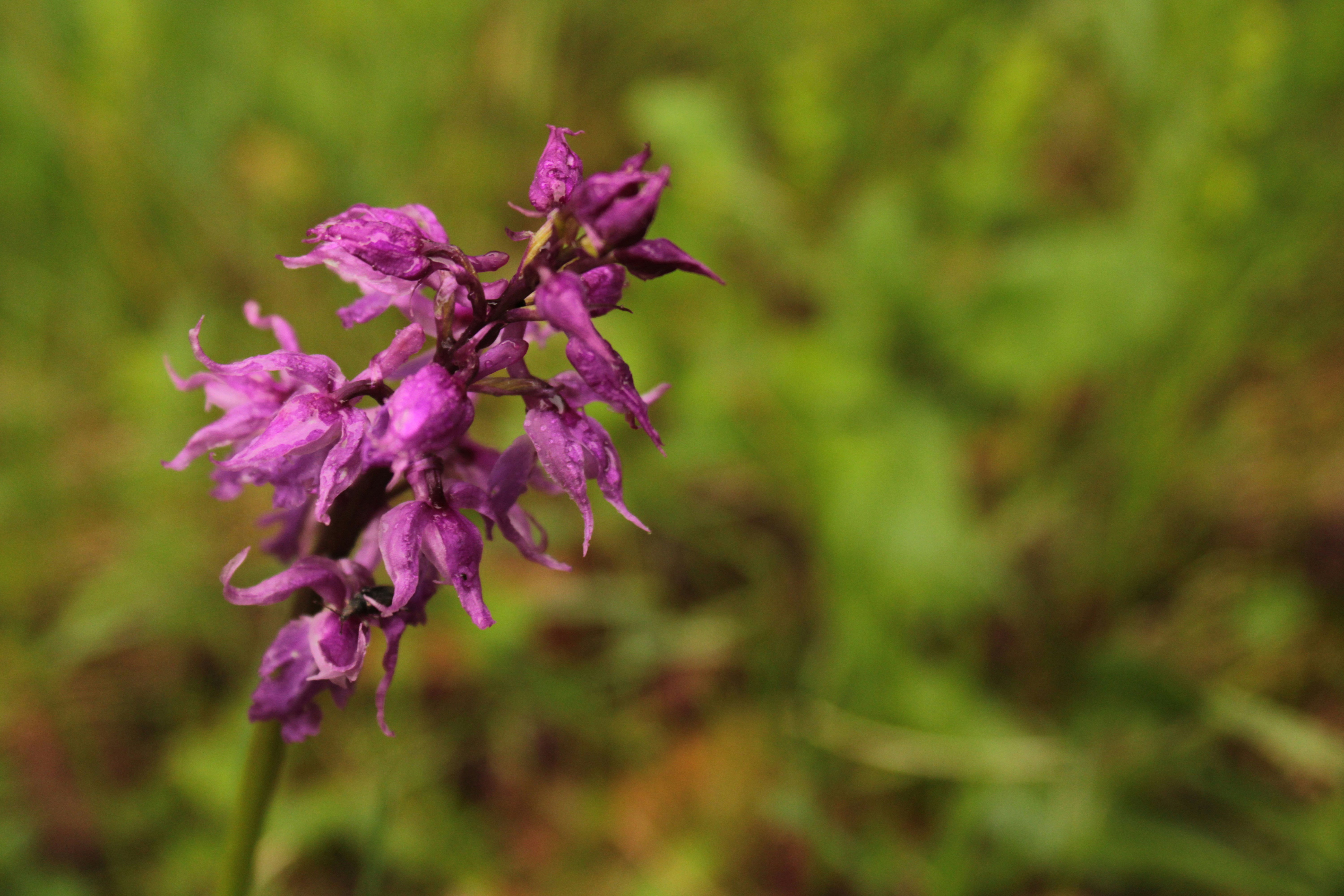 Photo by thorai9akira