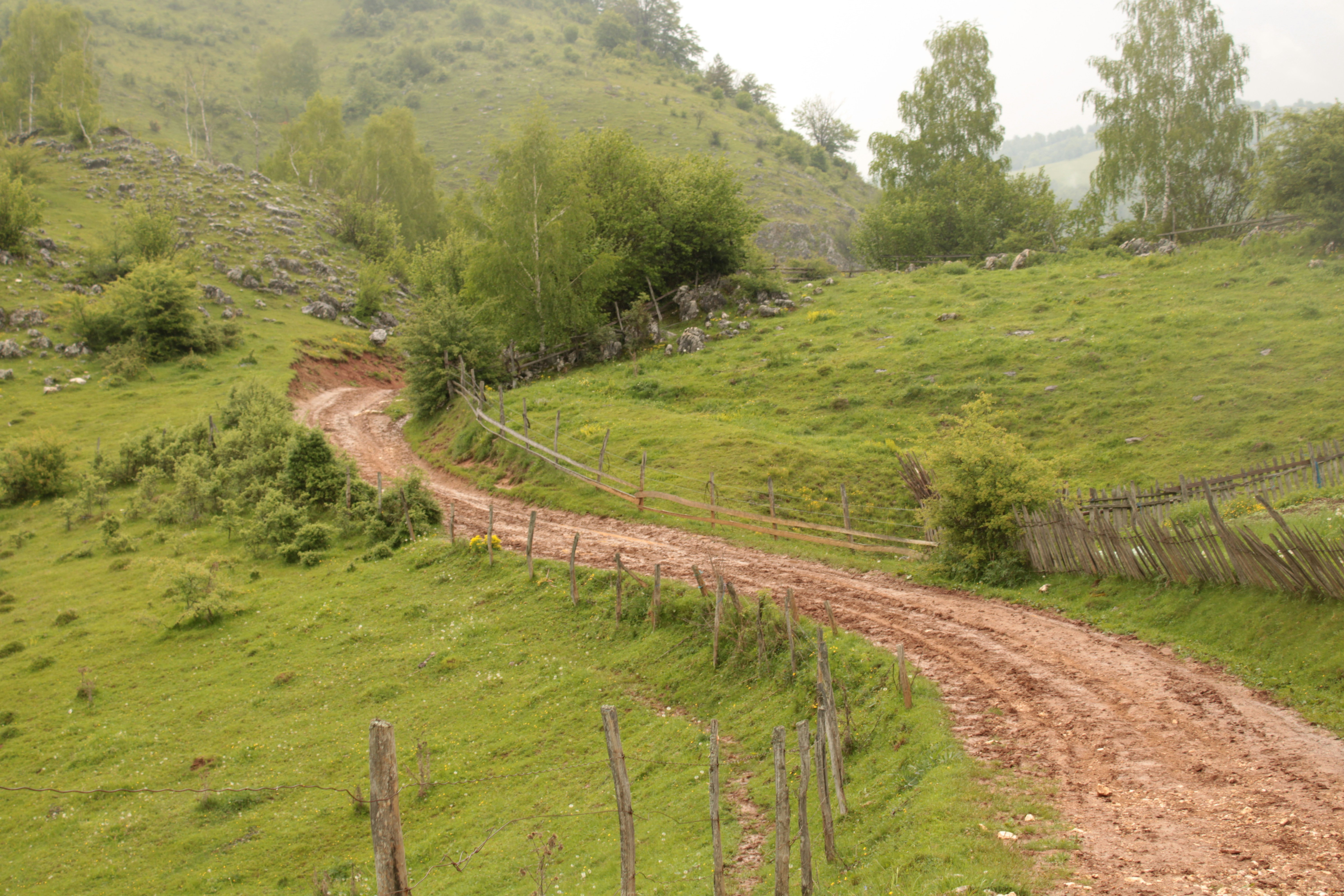 Photo by thorai9akira