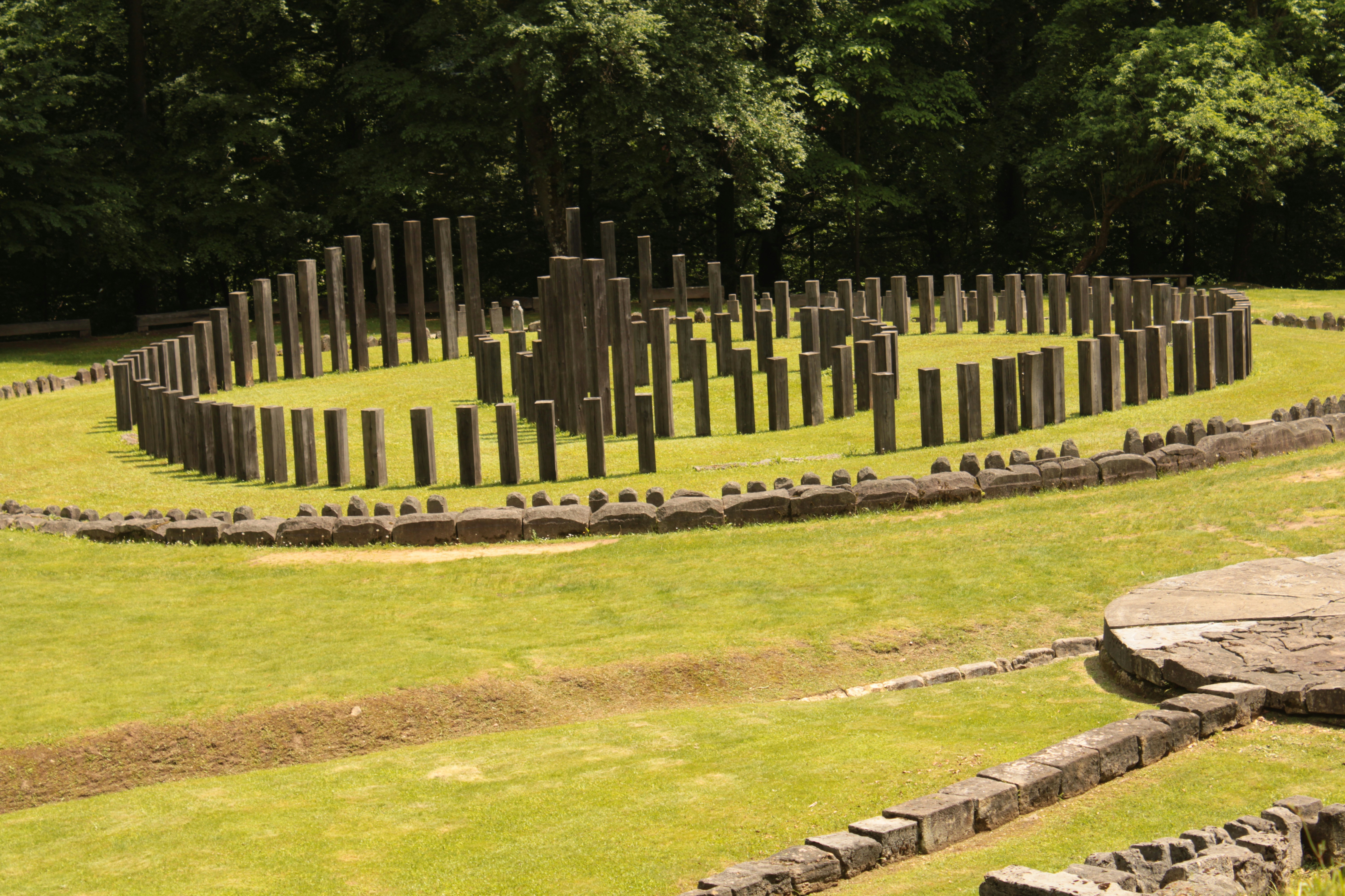 Photo by thorai9akira