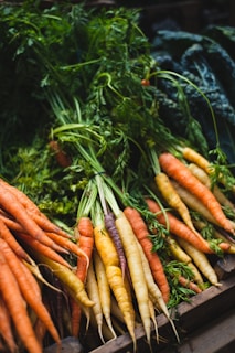 A basket filled with freshly picked carrots with green tops still attached