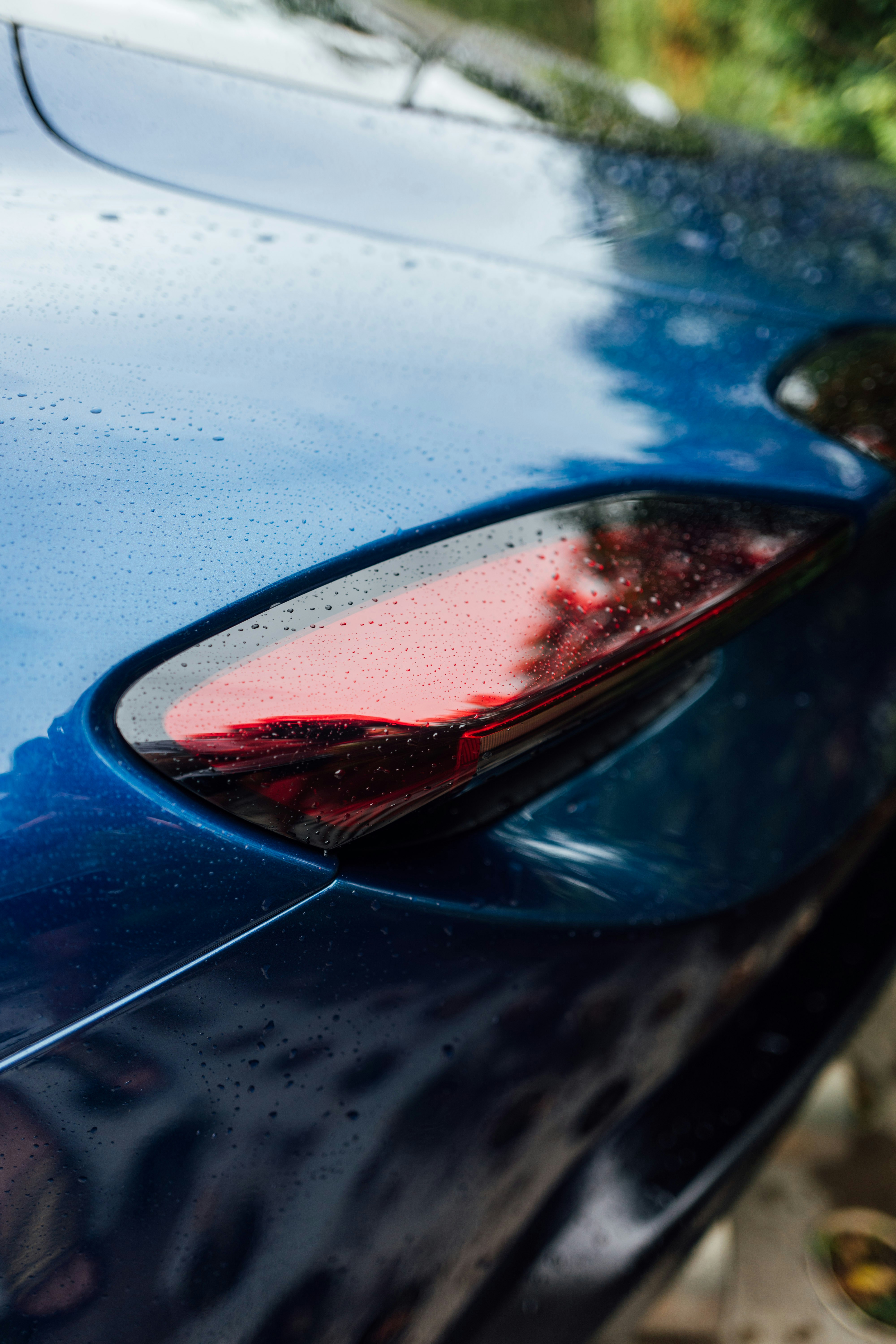 Photo by chuttersnap