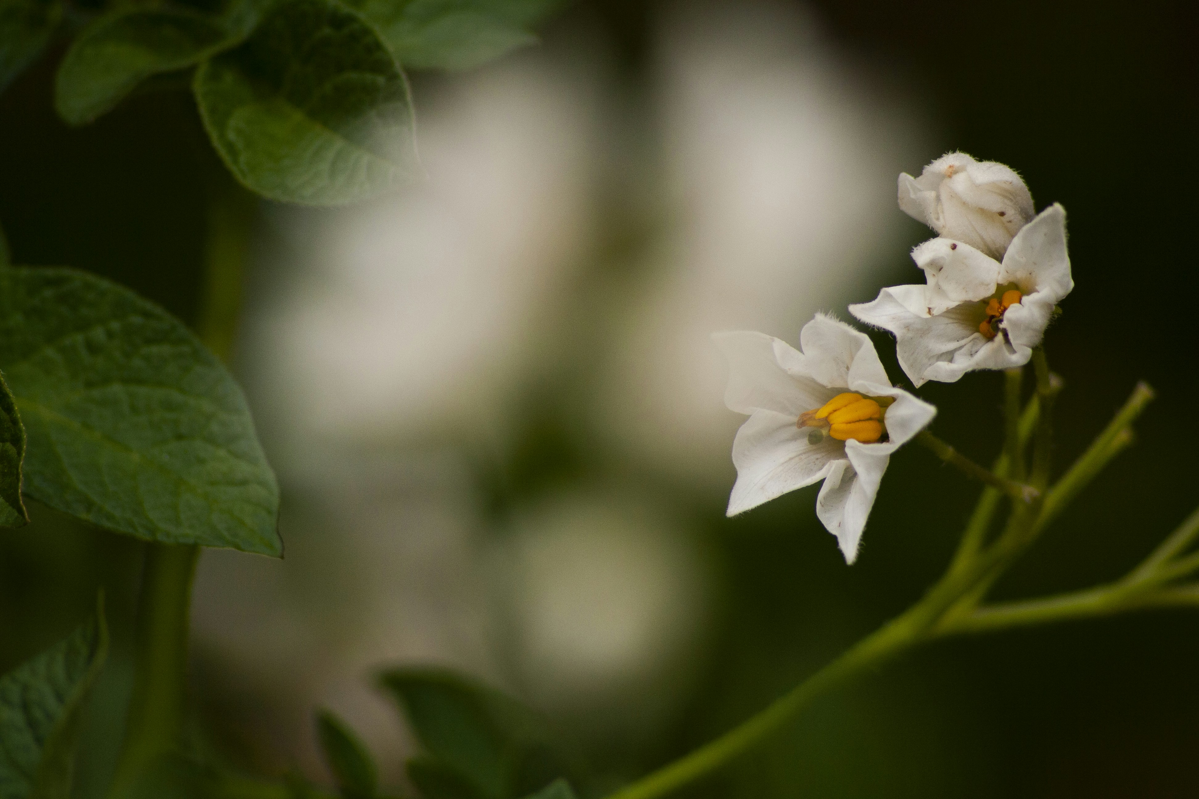 Photo by amy_harrison