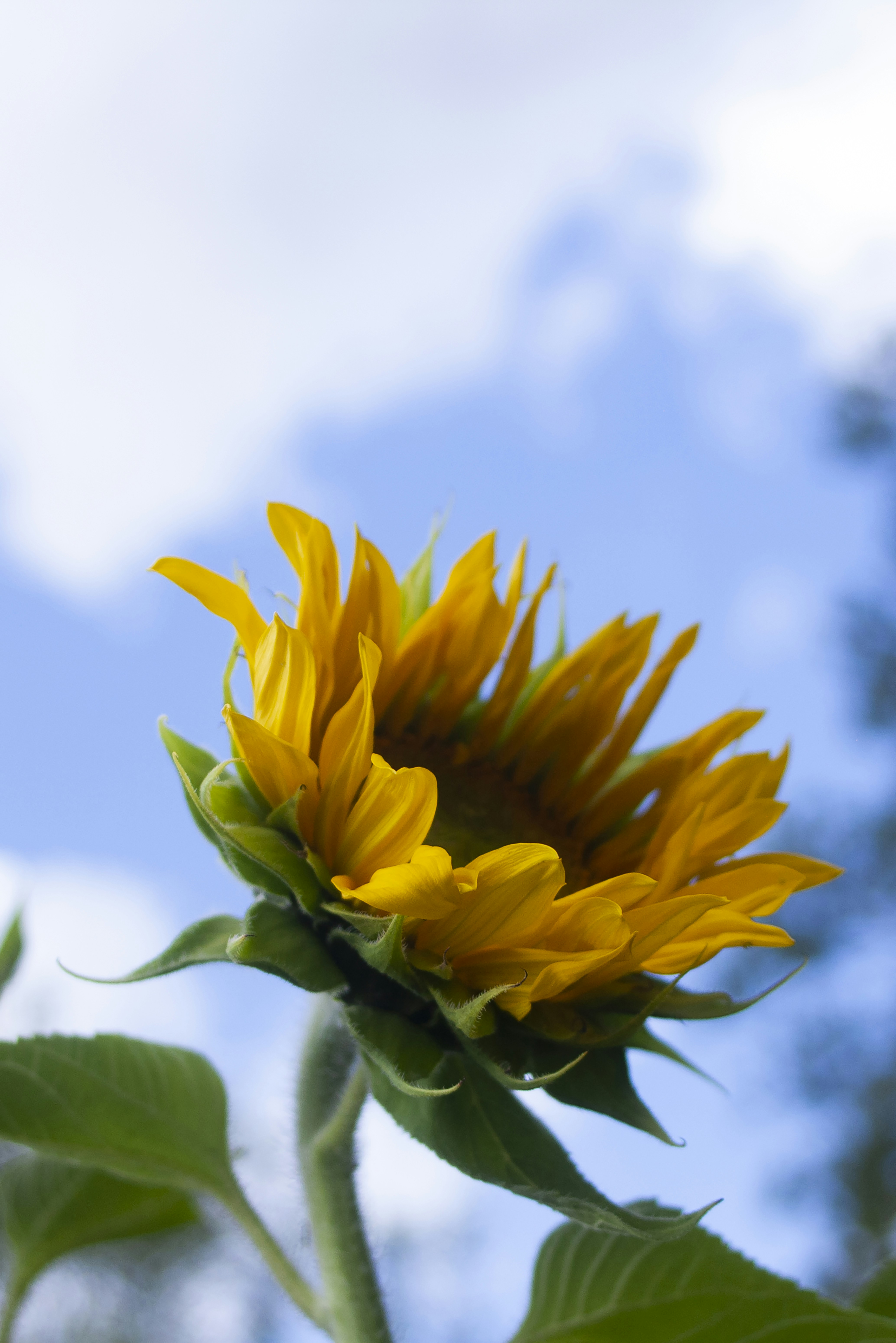 Photo by amy_harrison