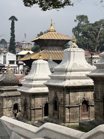 A series of intricately designed stone structures with white domes and ornate carvings, set against a backdrop of lush green trees and a golden-roofed temple. The scene suggests a tranquil and historical location, likely a religious or cultural site.